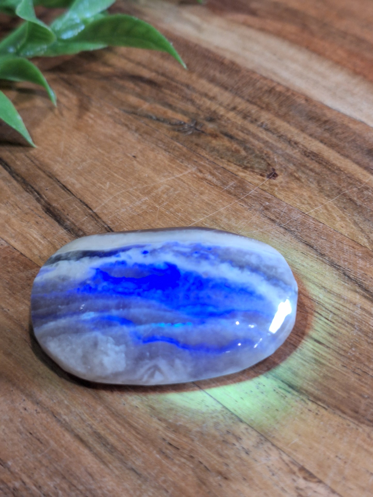 PALM STONES (MEDIUM & LARGE)