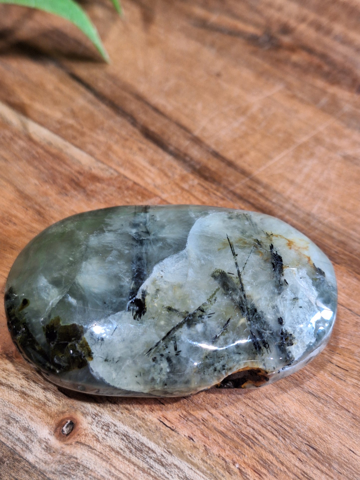 PALM STONES (MEDIUM & LARGE)