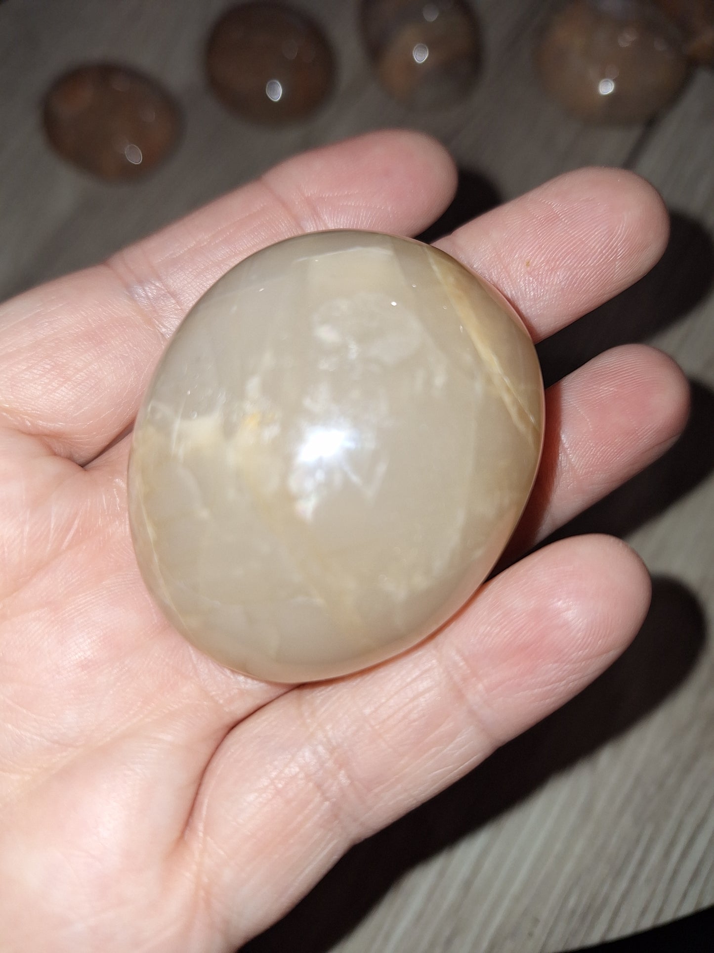 PALM STONES (MEDIUM & LARGE)