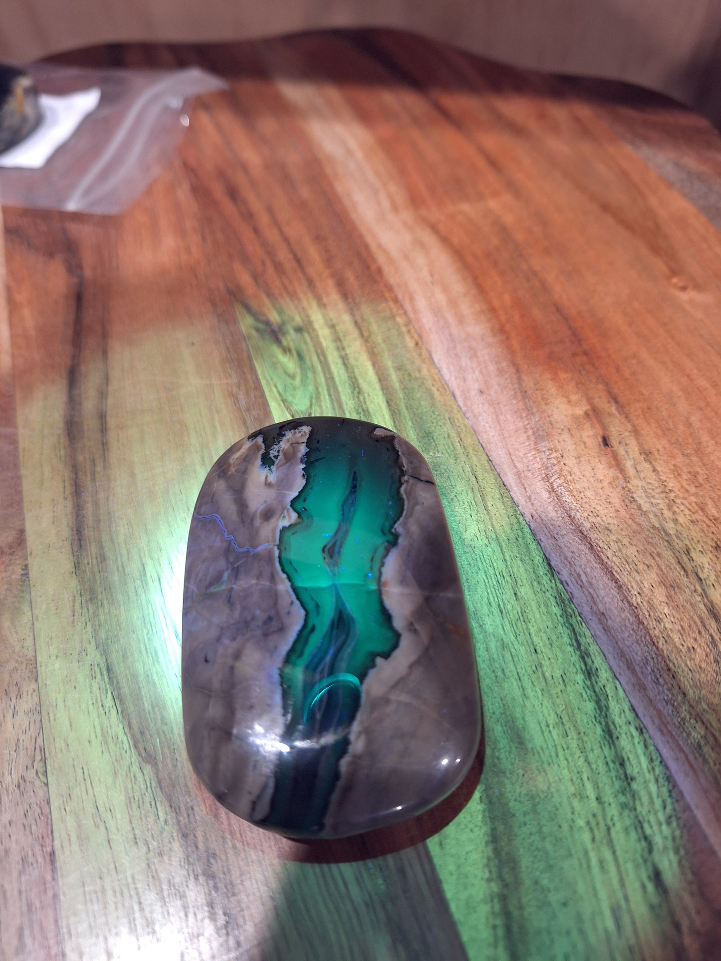 PALM STONES (MEDIUM & LARGE)