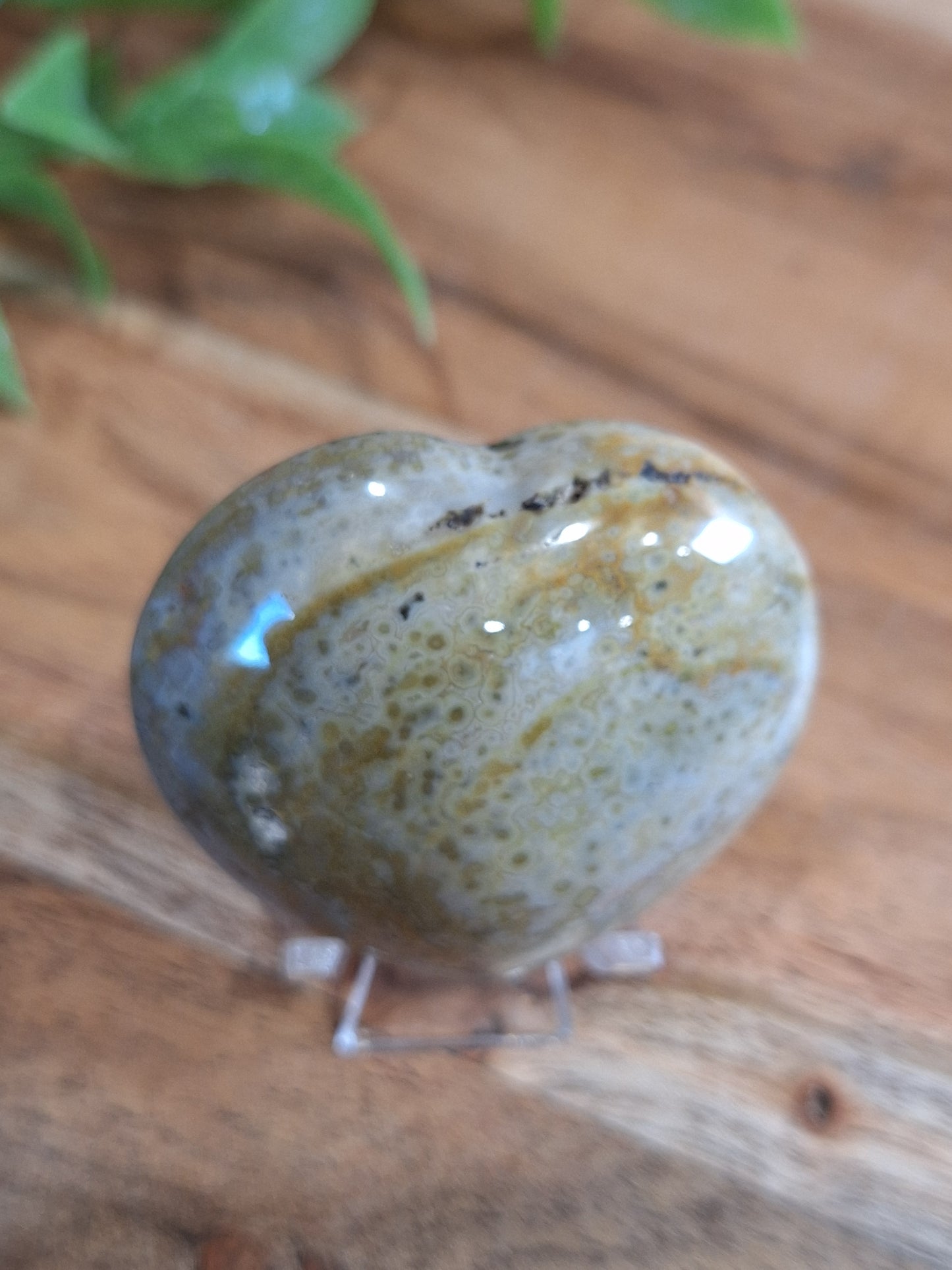 OCEAN JASPER HEART