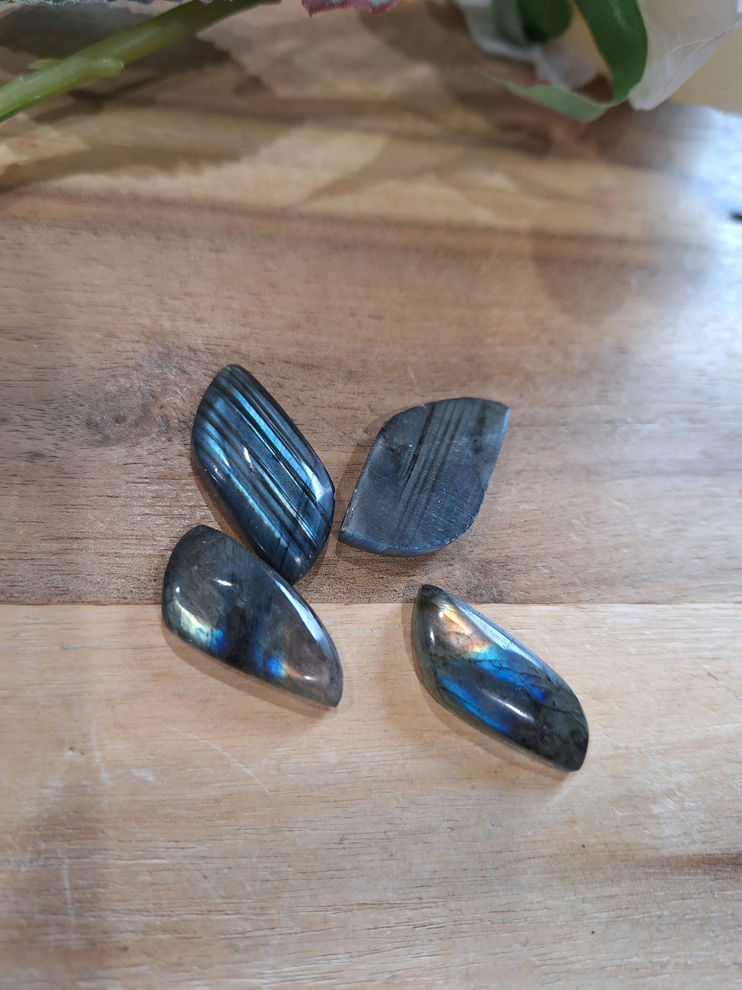 LABRADORITE LEAF (SO FLASHY)