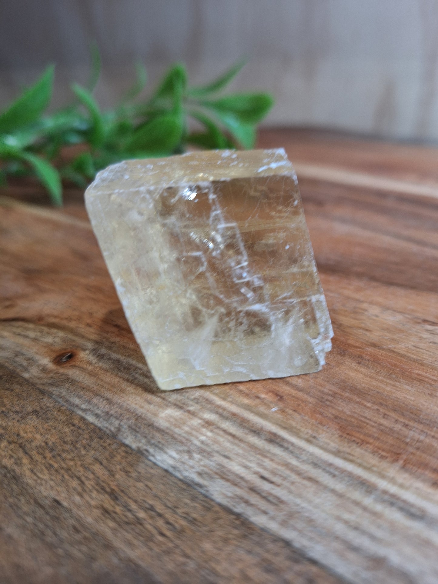 HONEY CALCITE RAW
