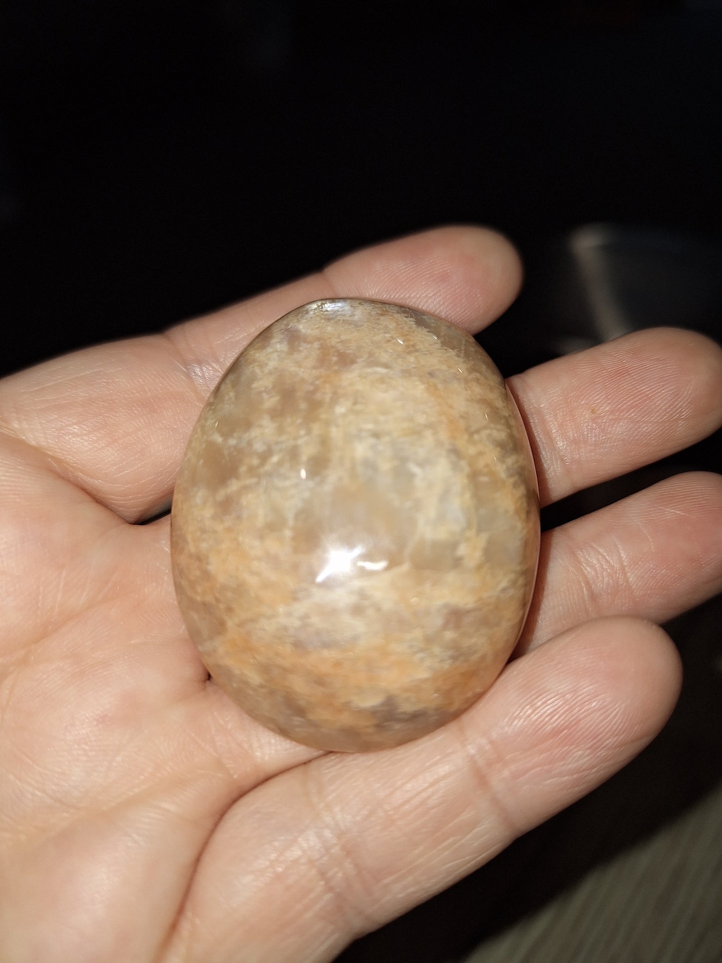 PALM STONES (MEDIUM & LARGE)