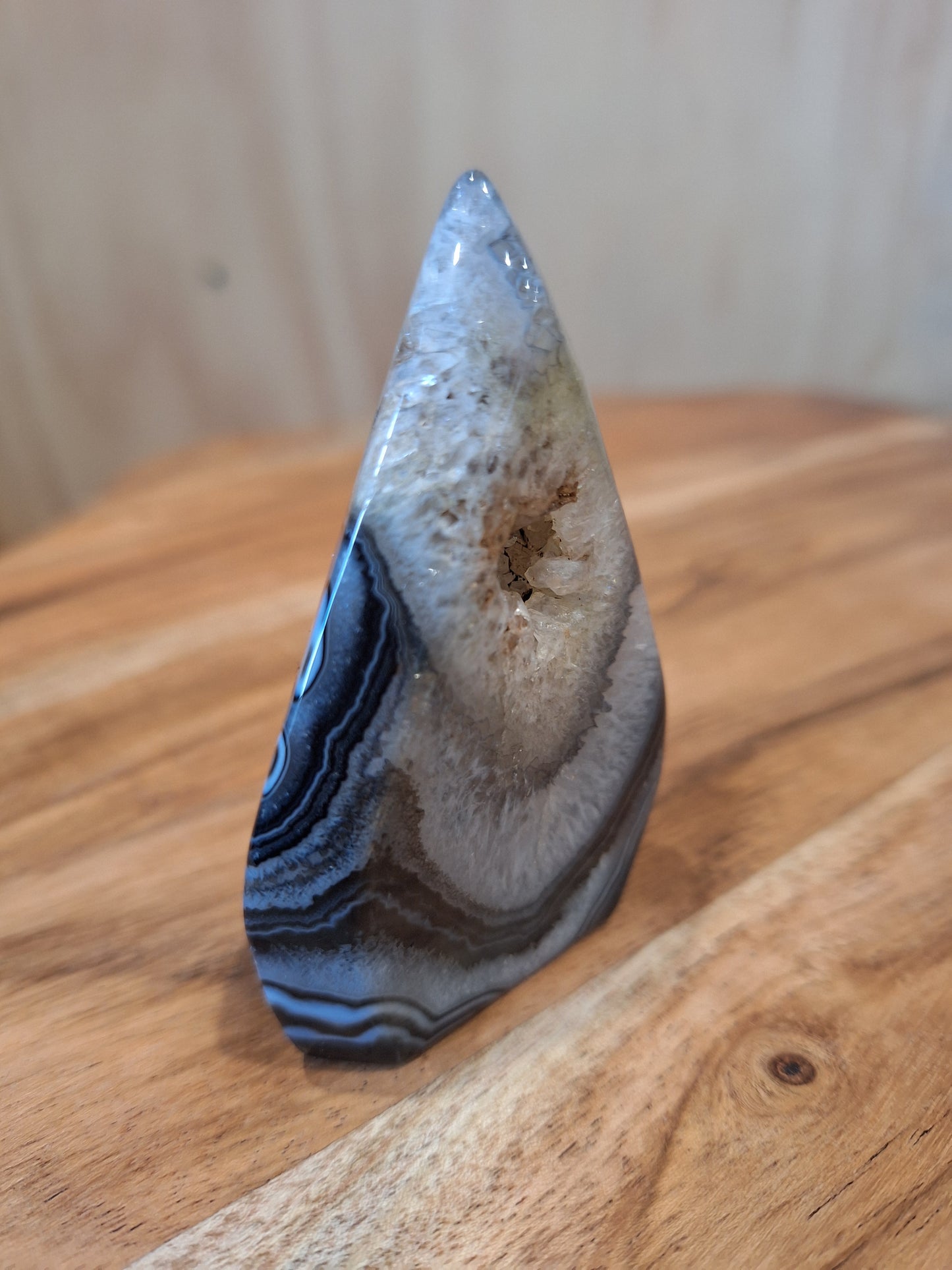 BLACK AGATE FREEFORMS
