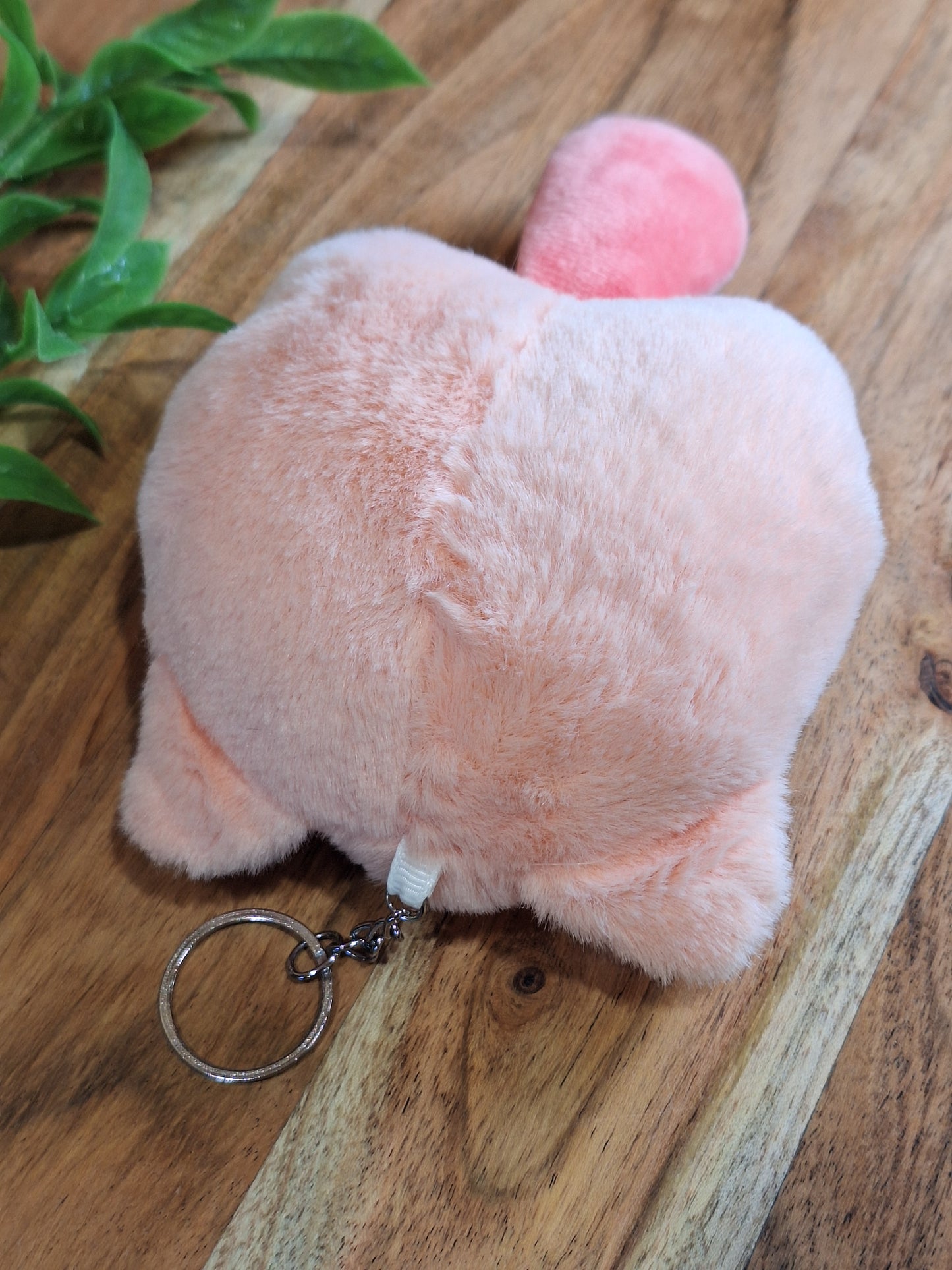 SANRIO EVERYTHING