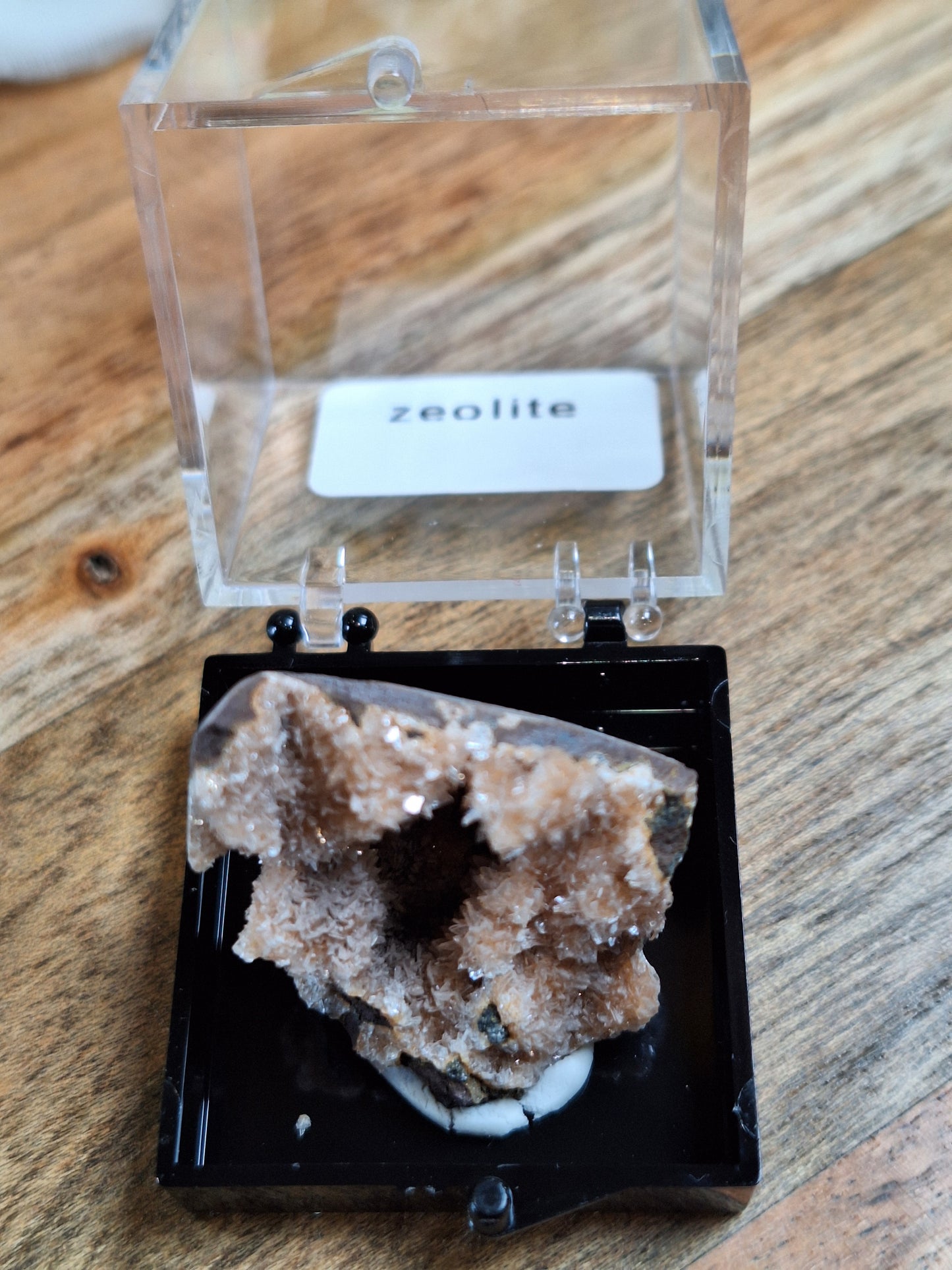 DISPLAY BOX SPECIMENS (SMALL)