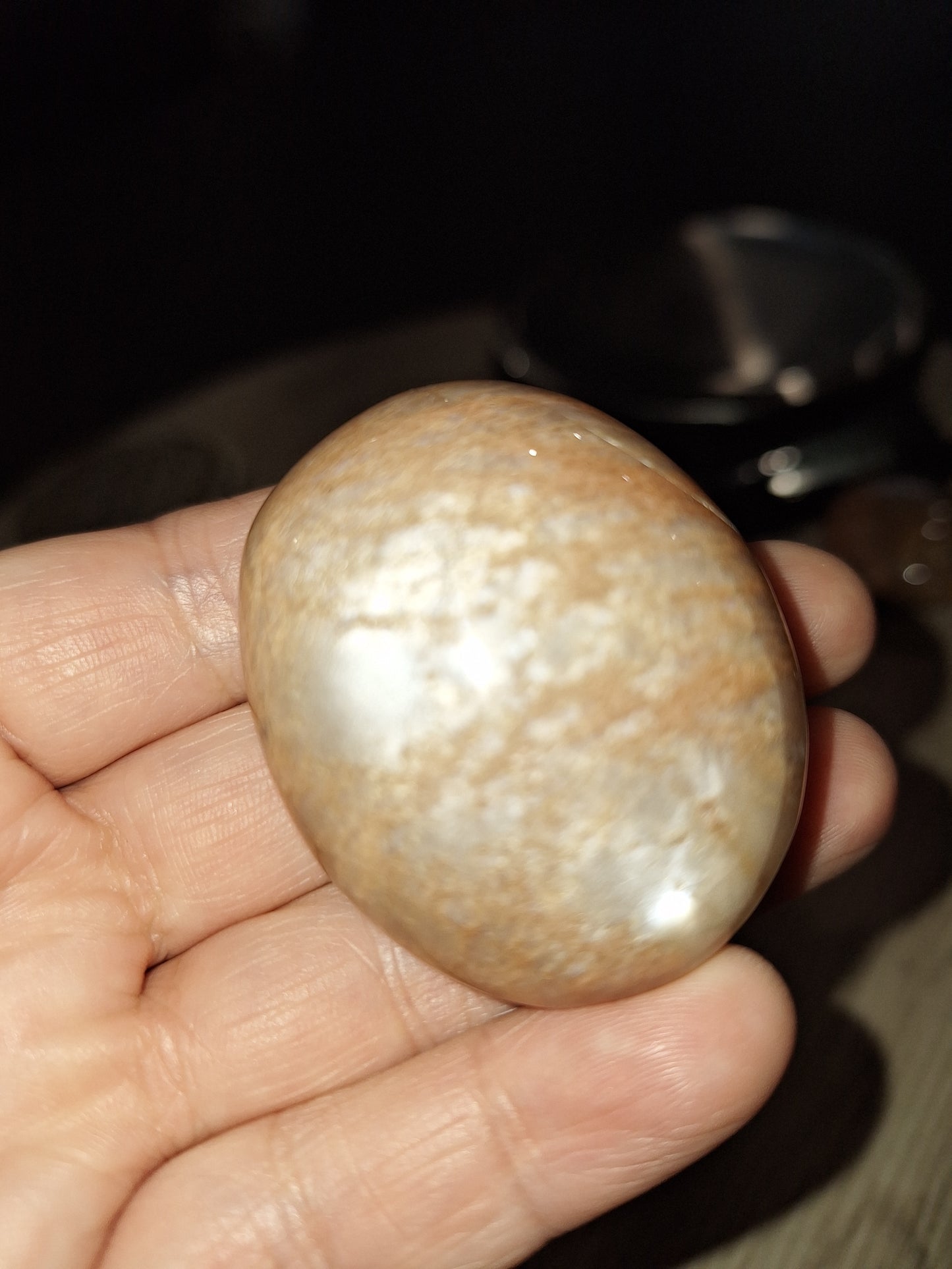 PALM STONES (MEDIUM & LARGE)