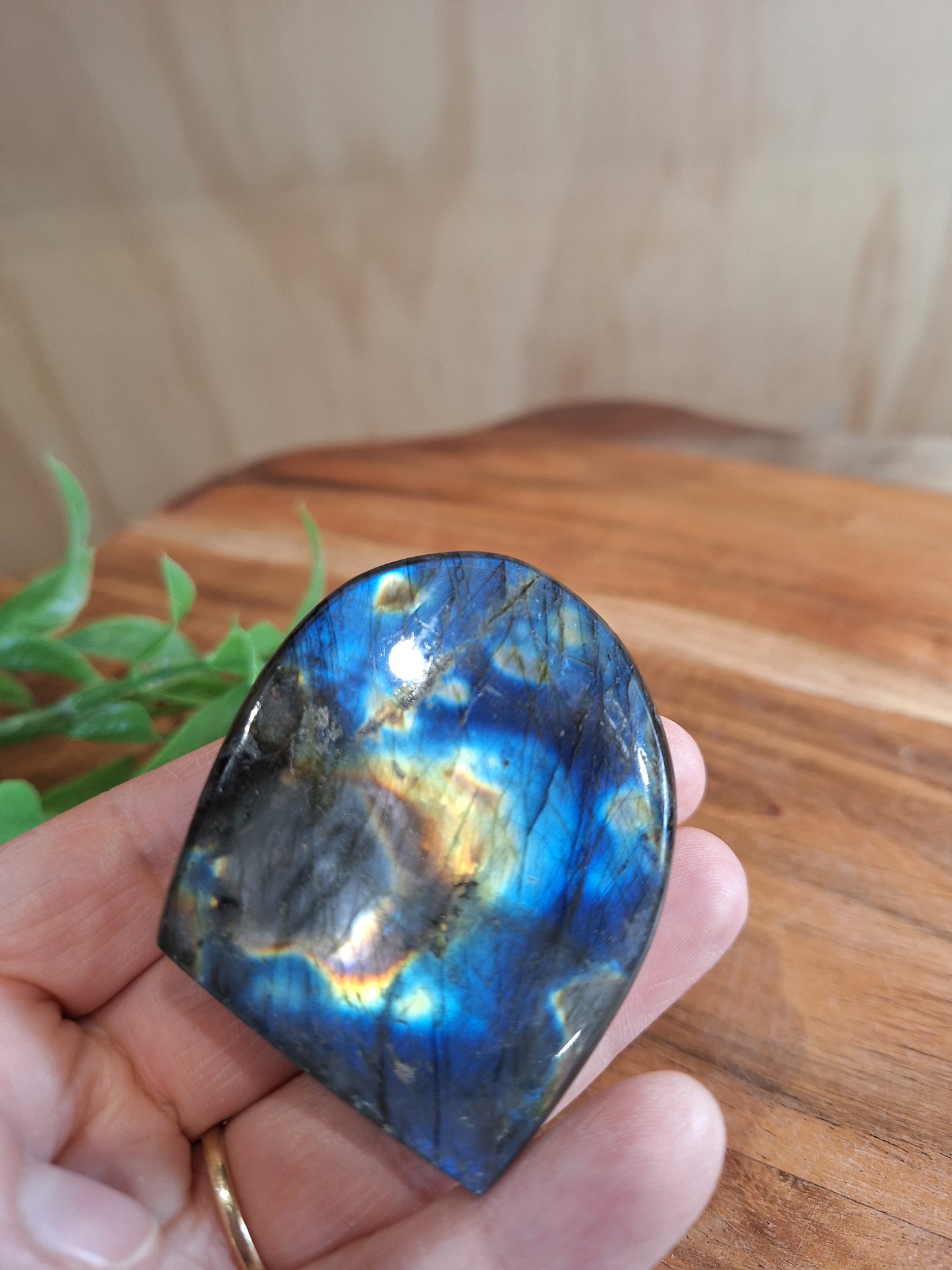 LABRADORITE FREEFORM