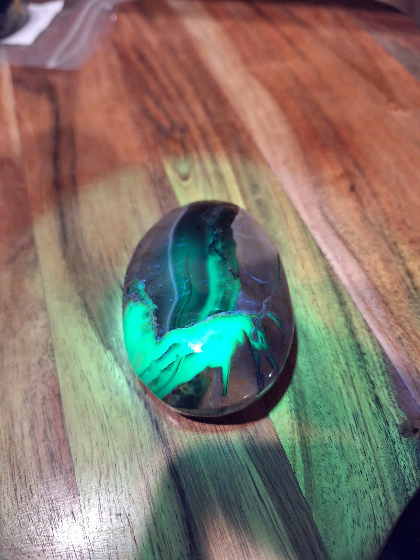 PALM STONES (MEDIUM & LARGE)