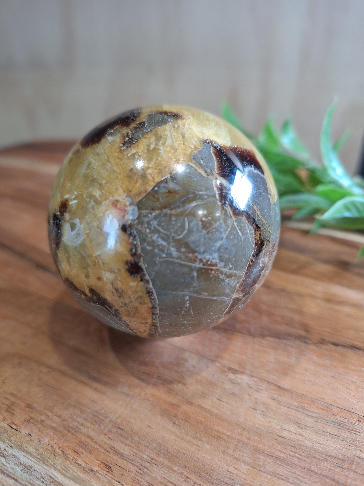 SEPTARIAN SPHERES