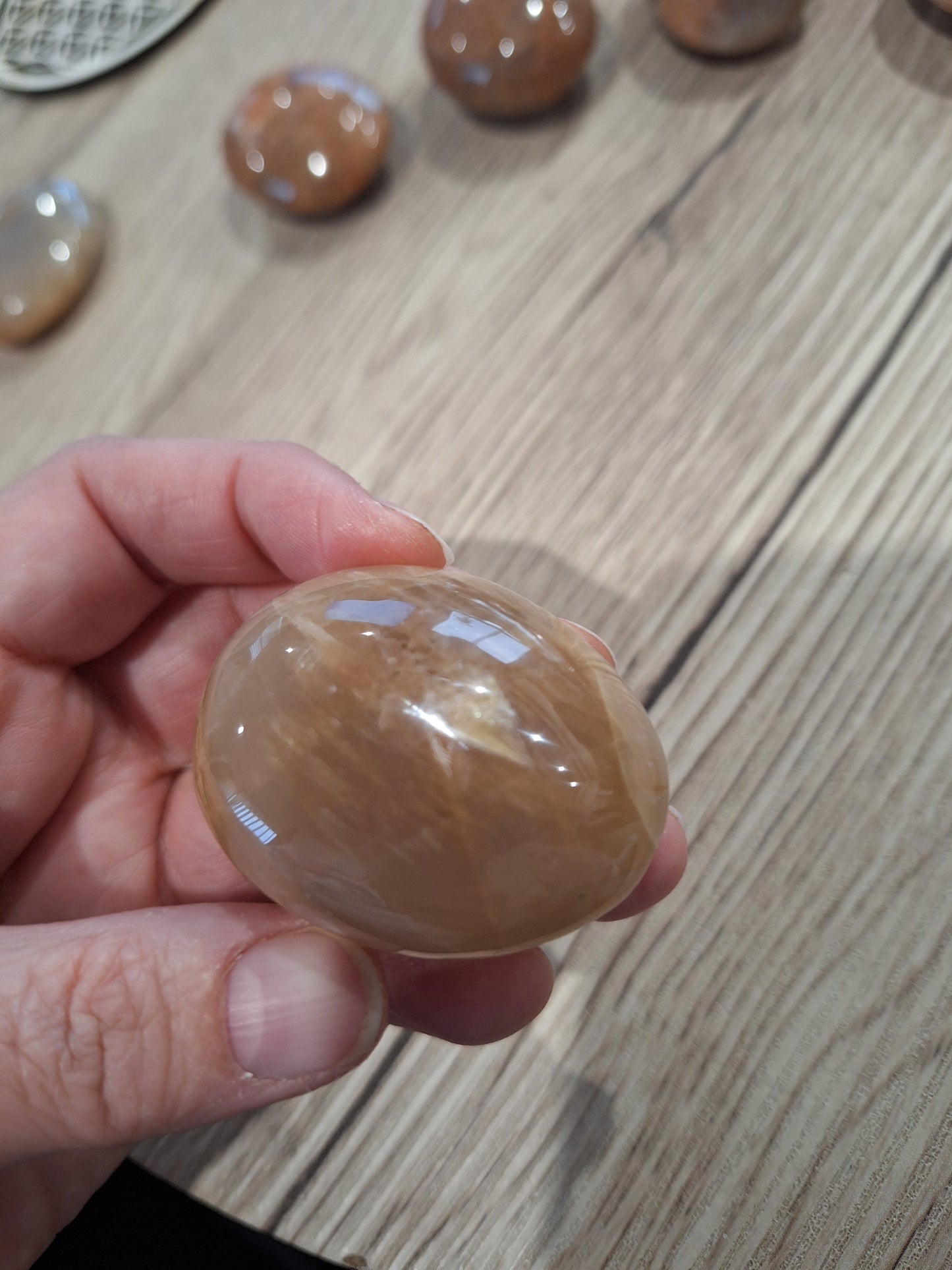 PALM STONES (MEDIUM & LARGE)