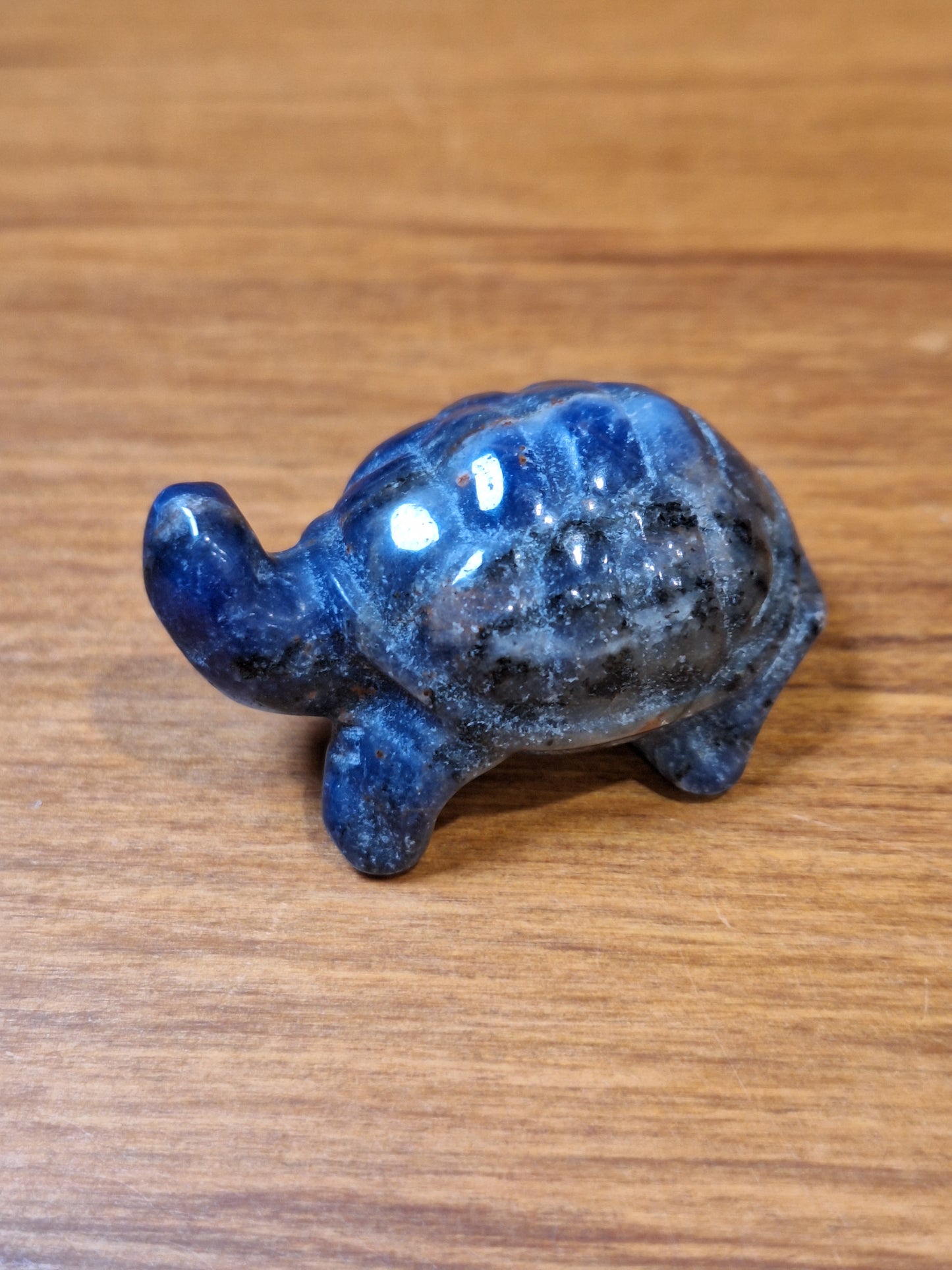 SODALITE TURTLE