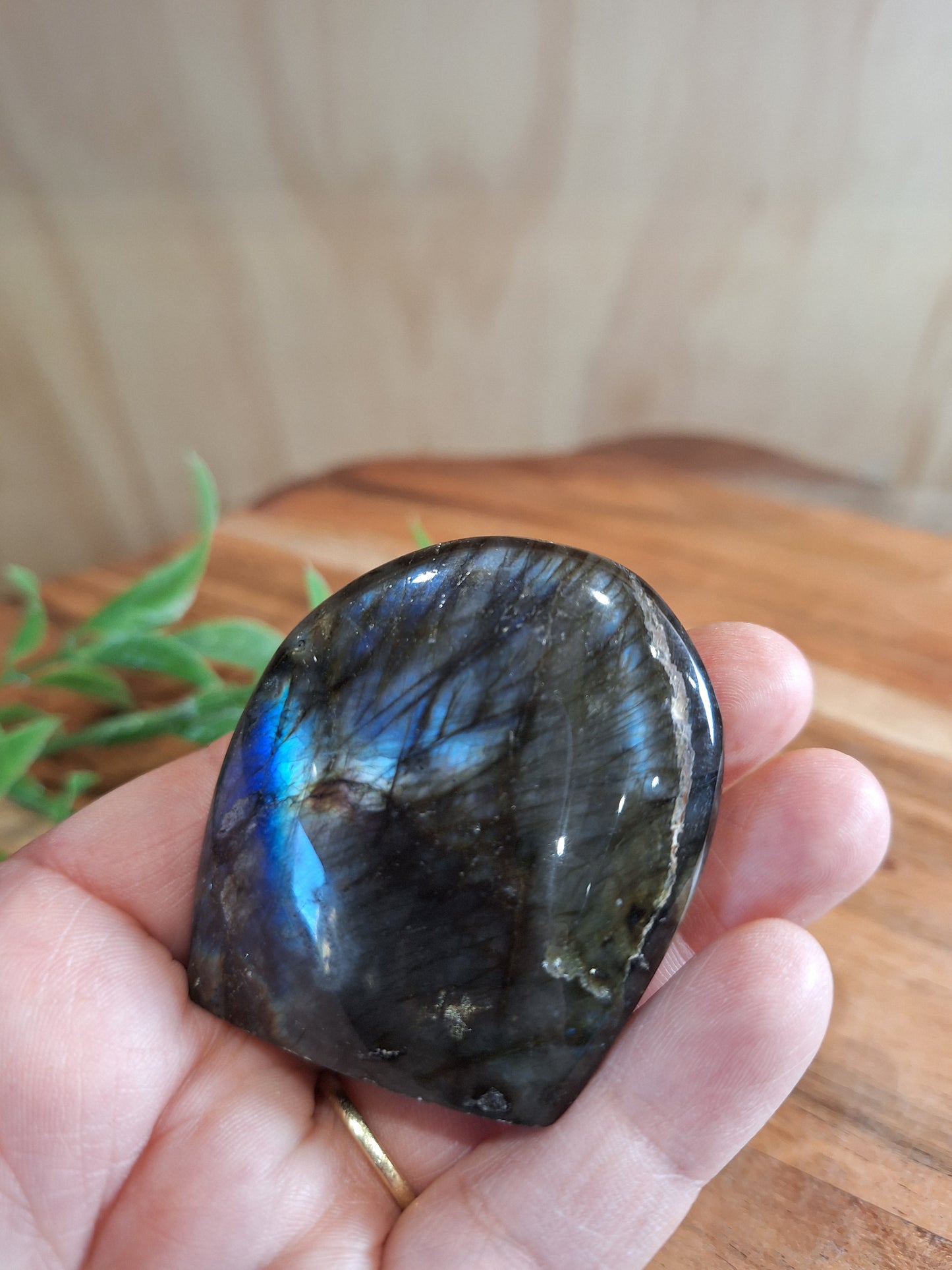 LABRADORITE FREEFORM