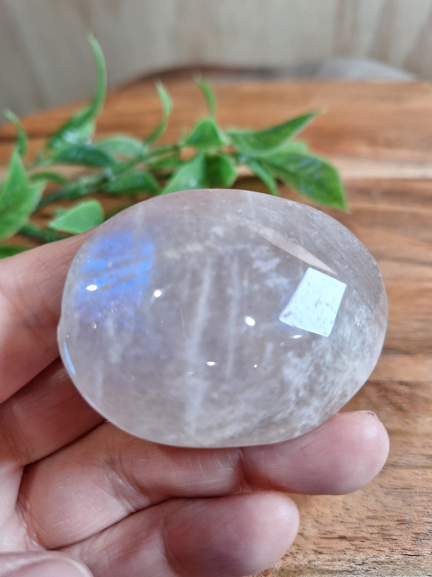 PALM STONES (MEDIUM & LARGE)