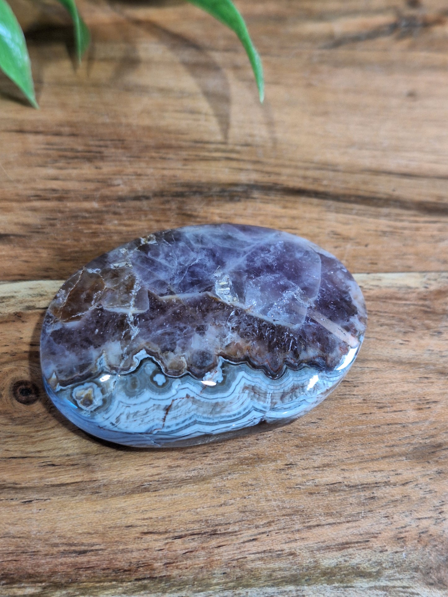 PALM STONES (MEDIUM & LARGE)