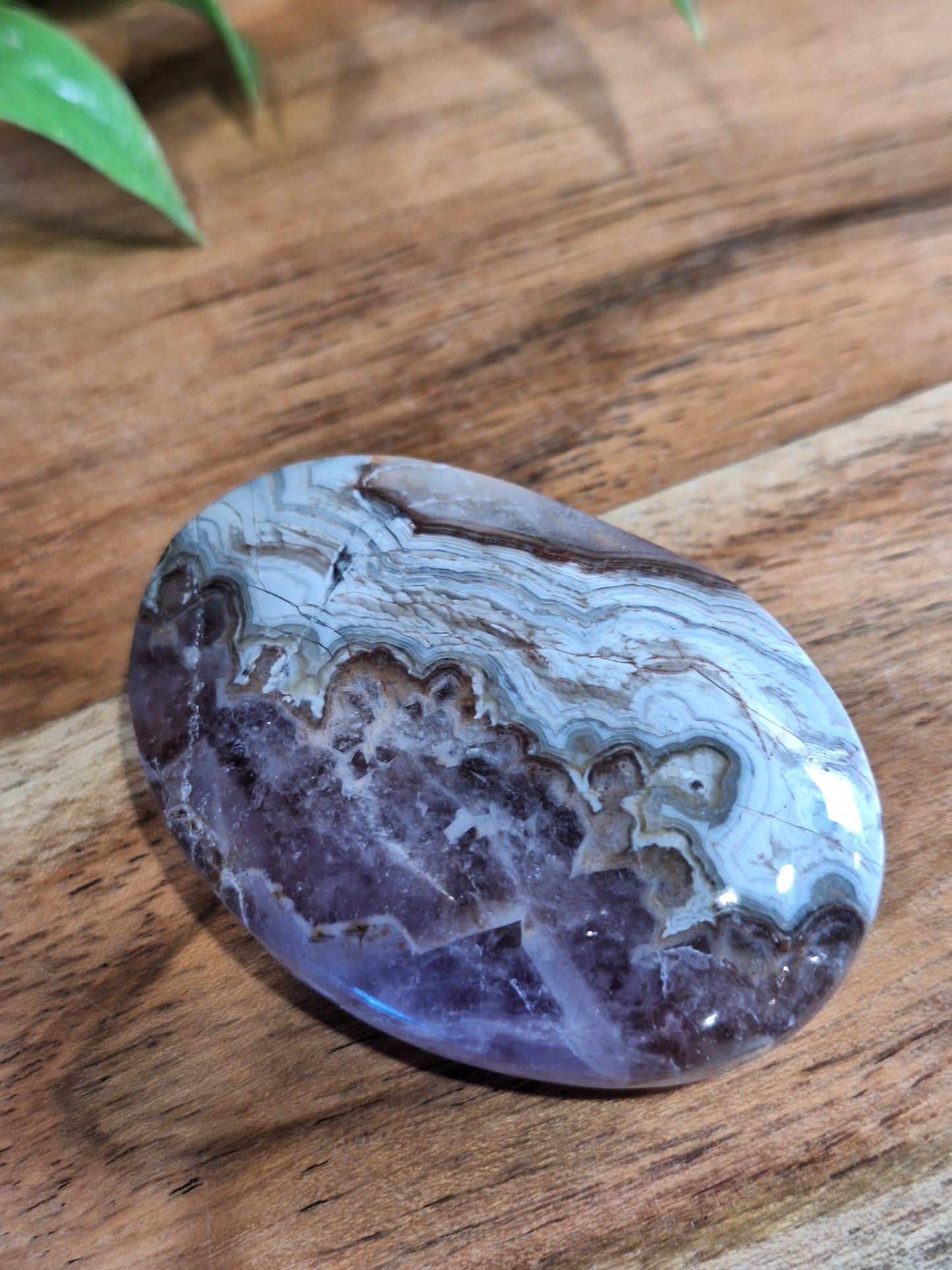 PALM STONES (MEDIUM & LARGE)
