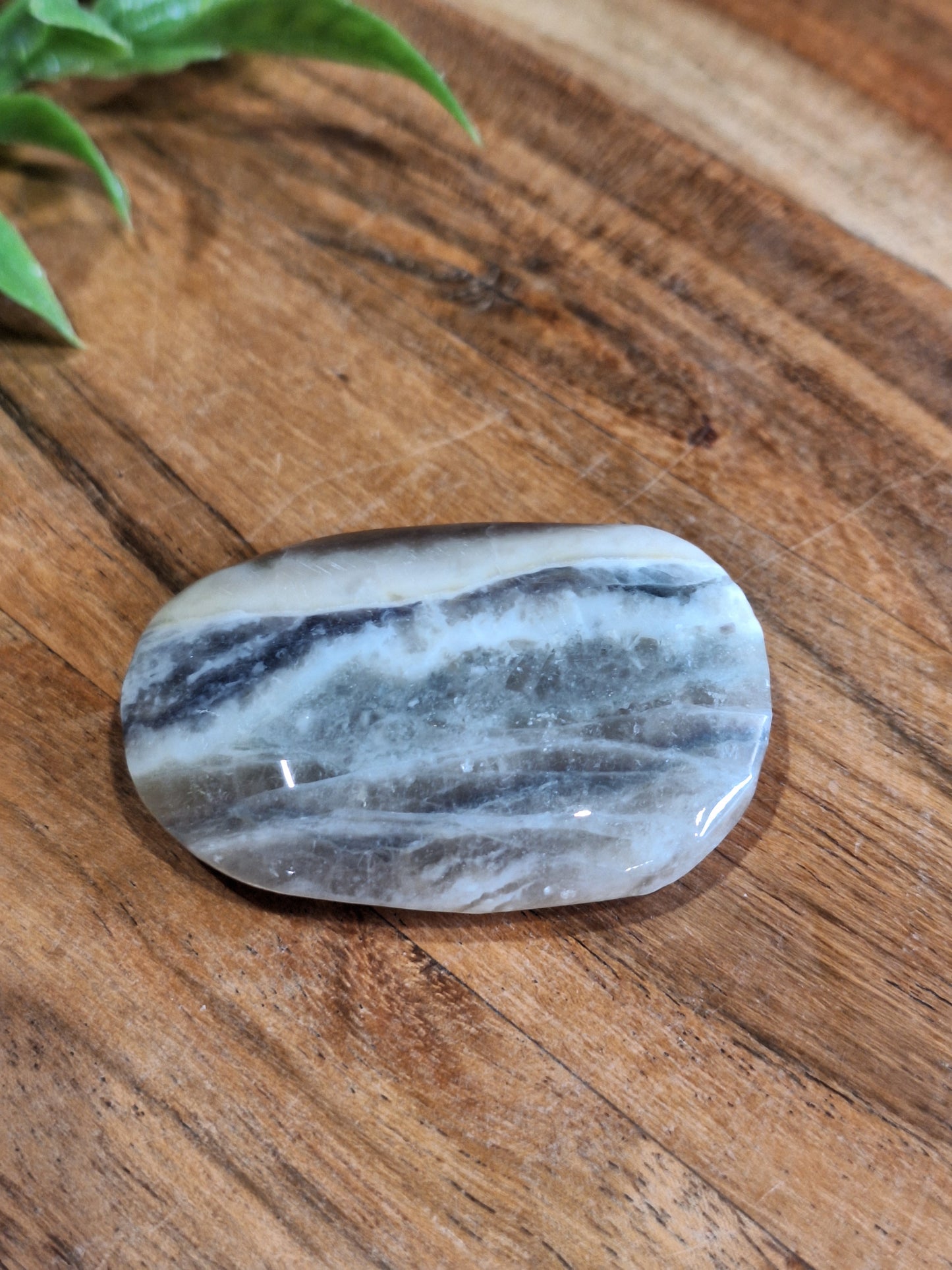 PALM STONES (MEDIUM & LARGE)