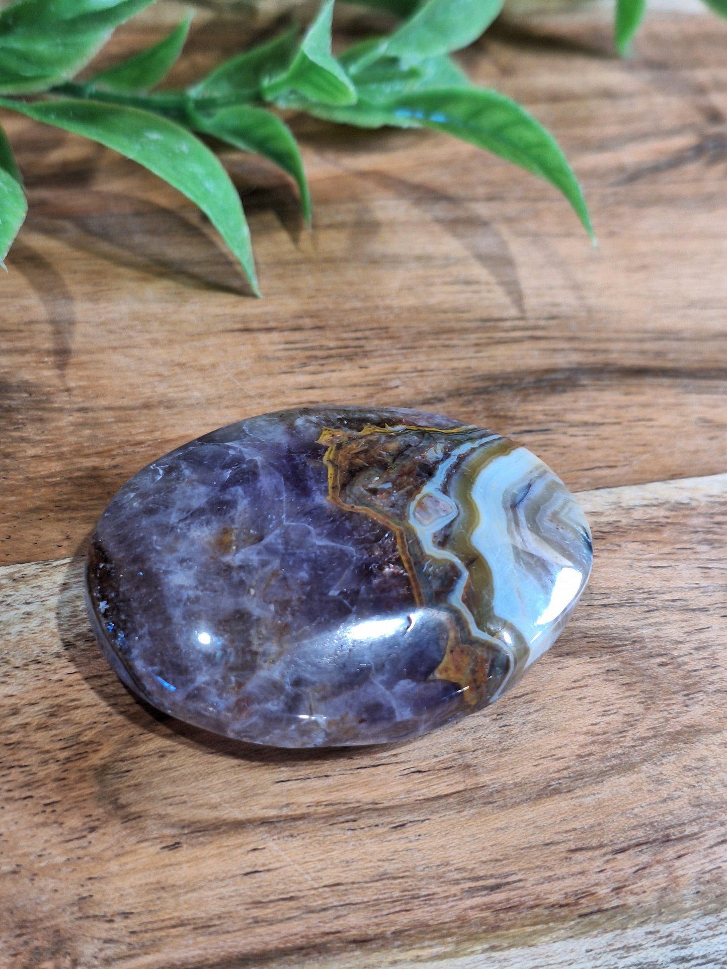 PALM STONES (MEDIUM & LARGE)