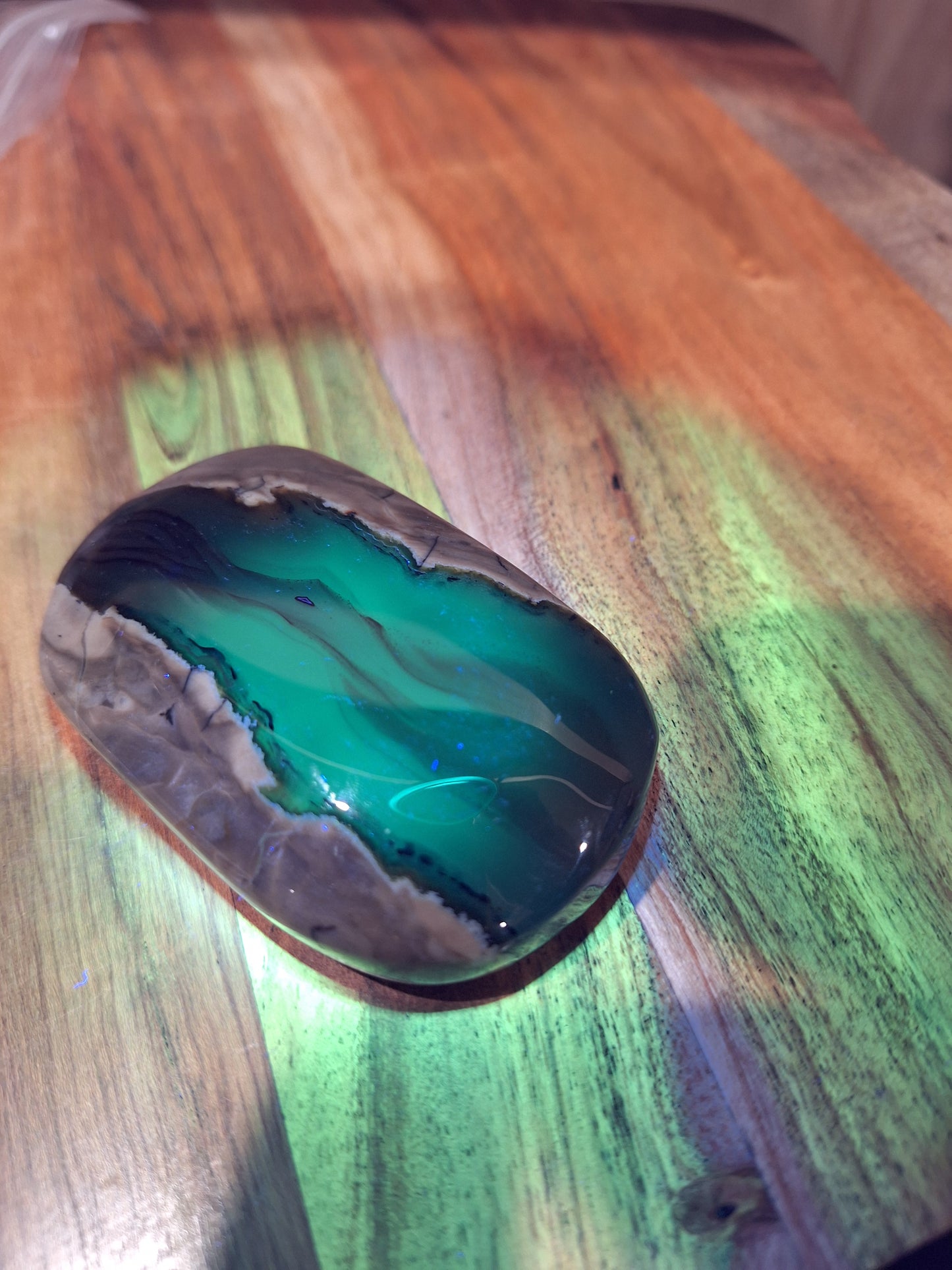 PALM STONES (MEDIUM & LARGE)