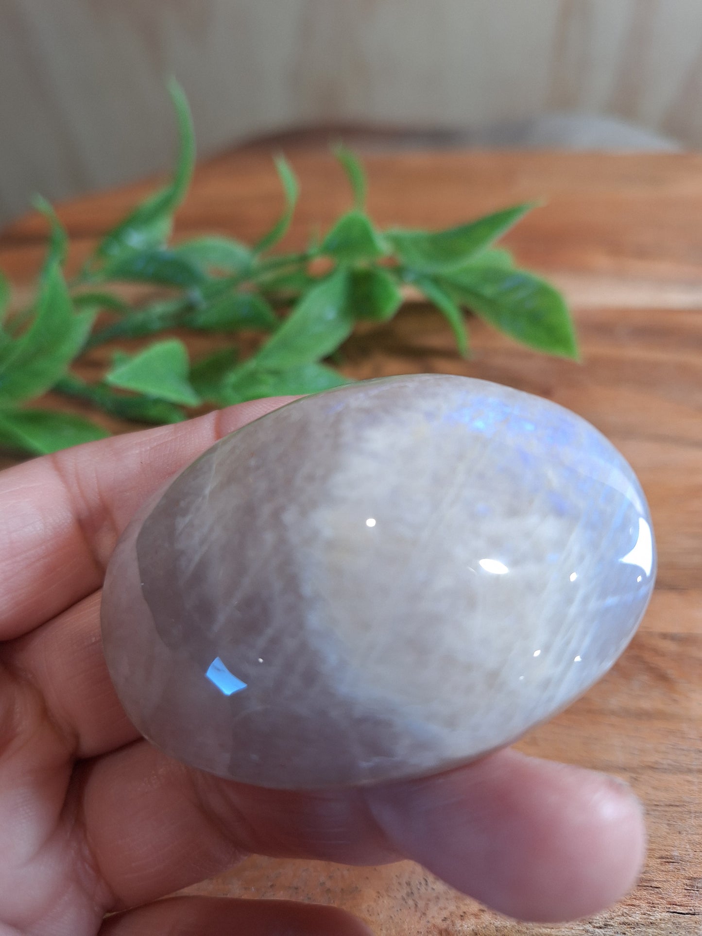 PALM STONES (MEDIUM & LARGE)