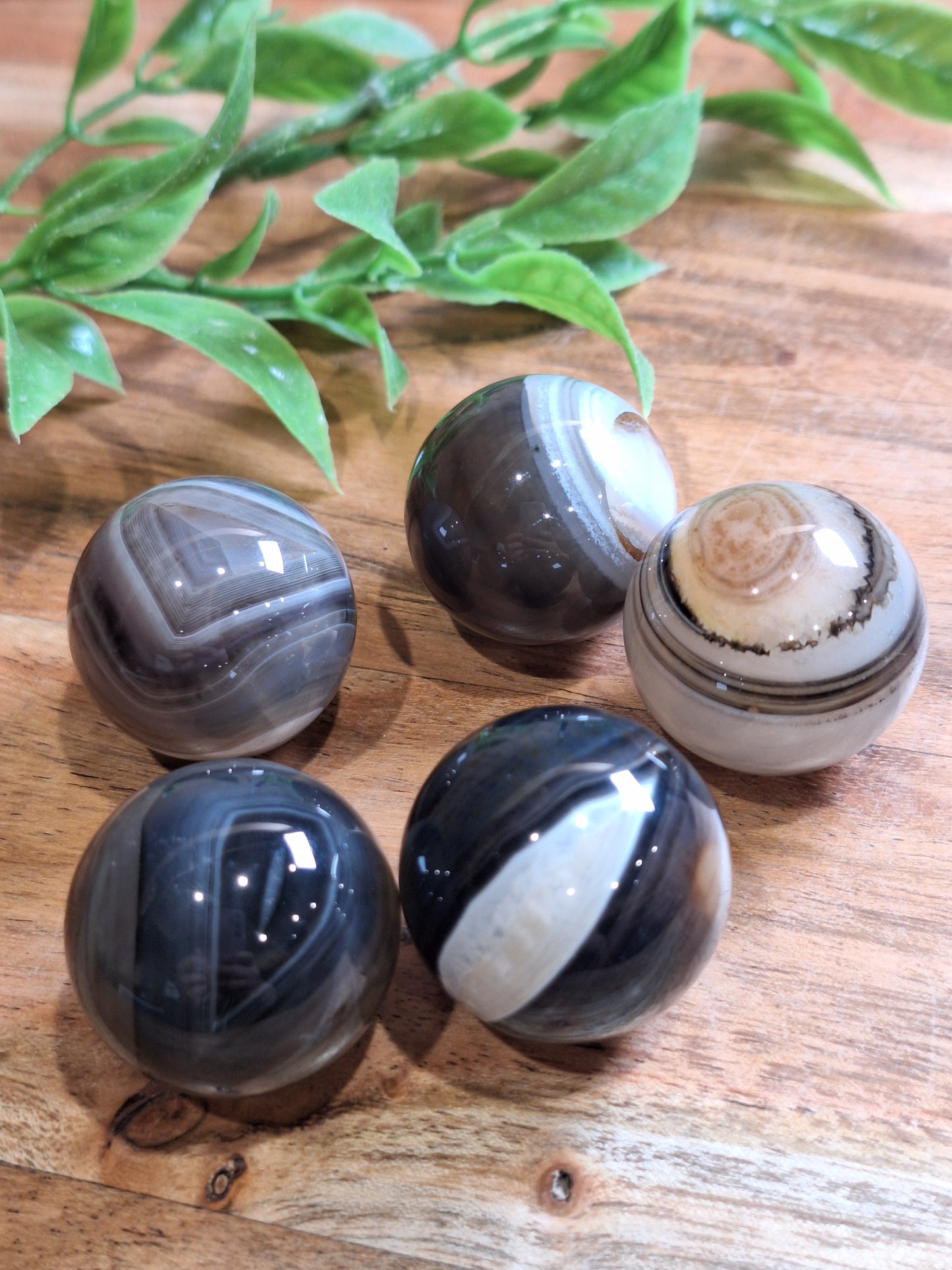 BLACK AGATE SPHERES (MEDIUM)