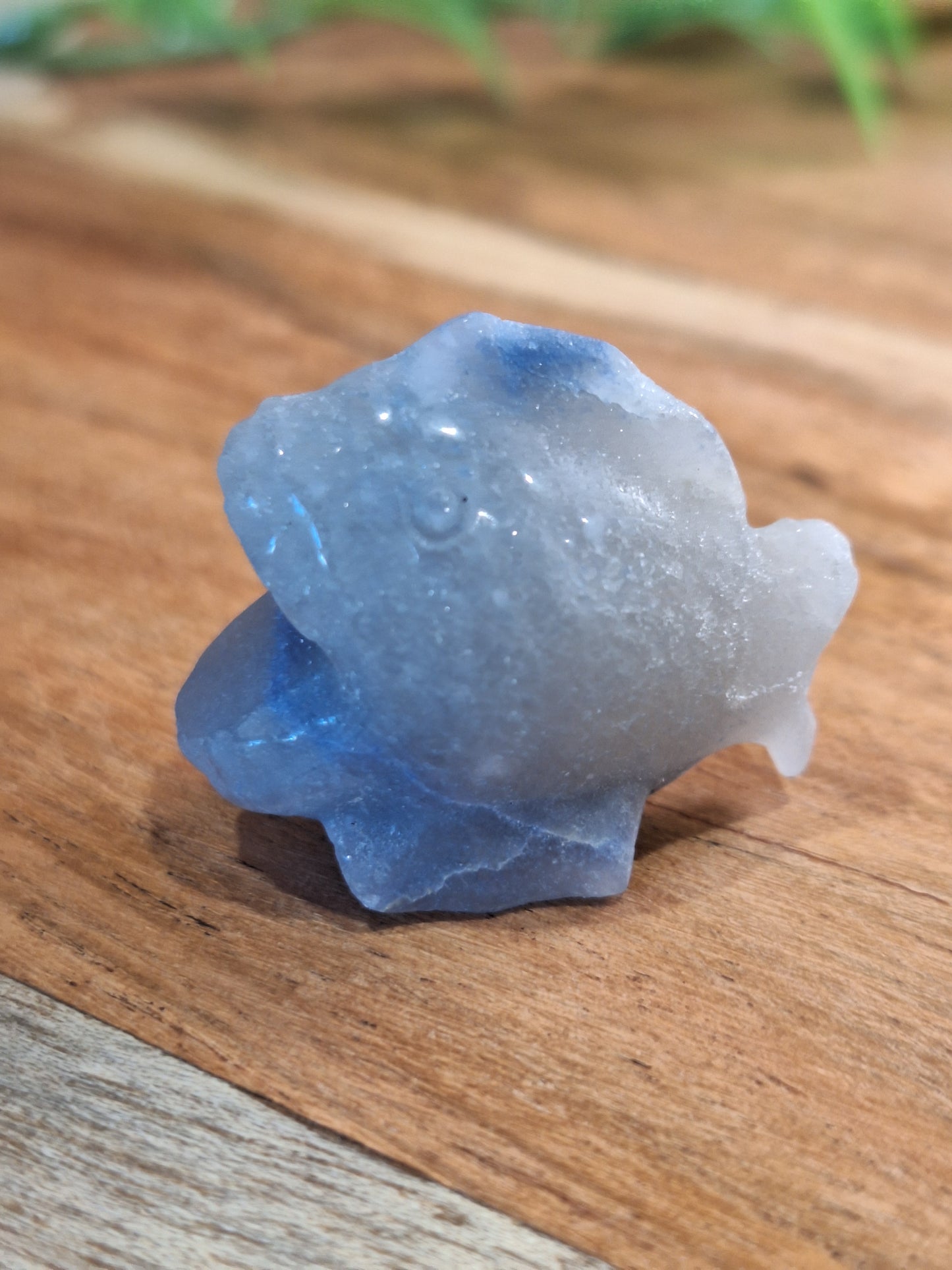 CRYSTAL PIRANHAS