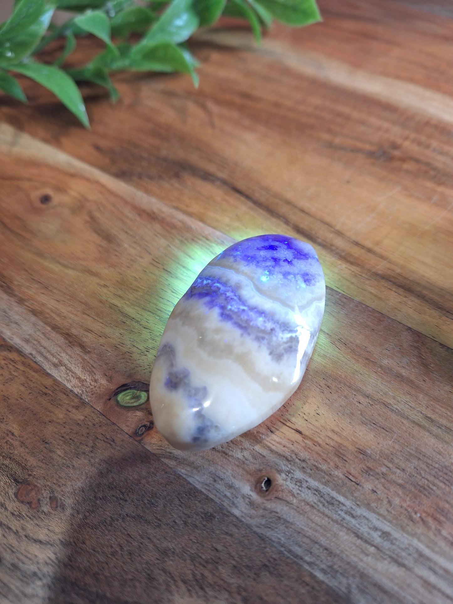 PALM STONES (MEDIUM & LARGE)