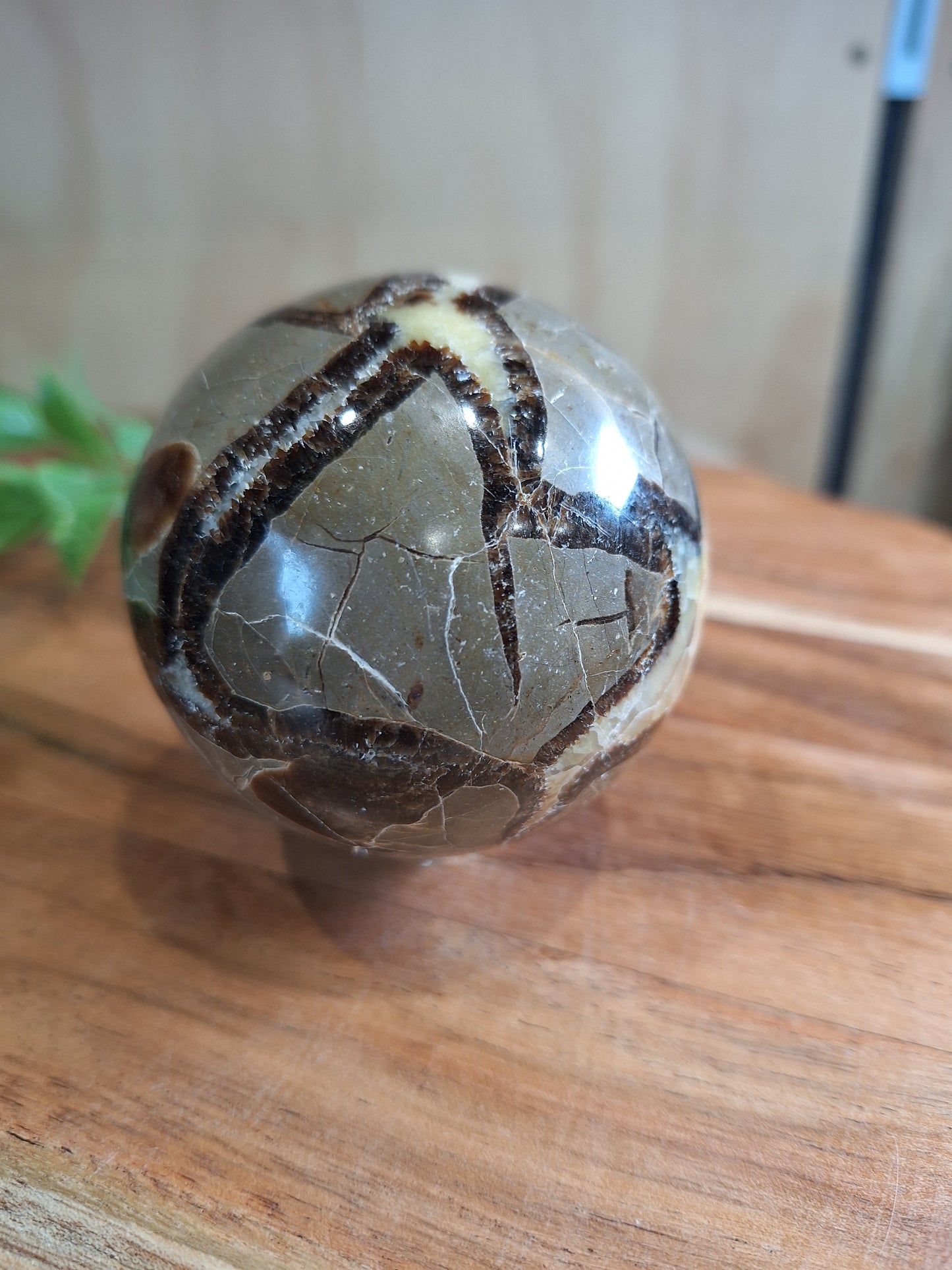 SEPTARIAN SPHERES