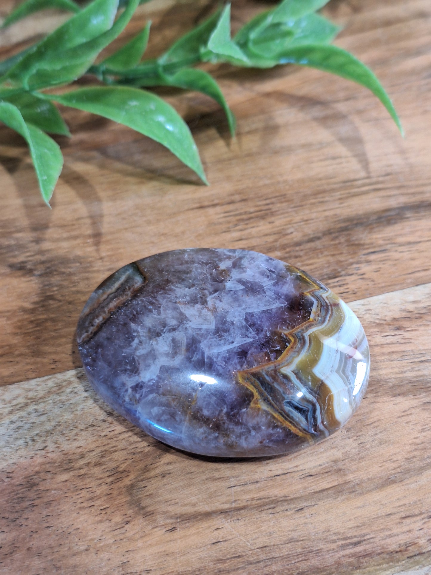 PALM STONES (MEDIUM & LARGE)
