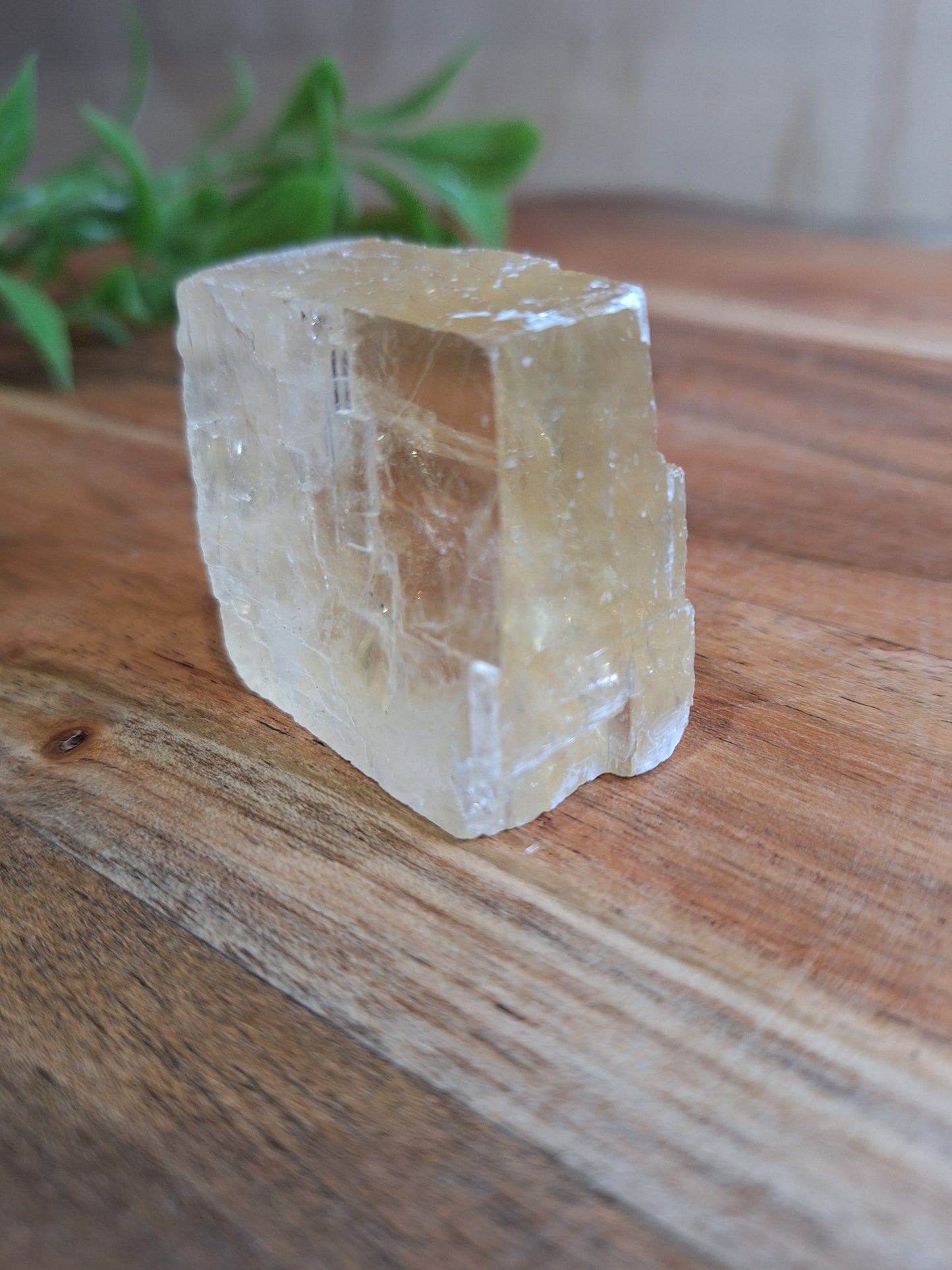 HONEY CALCITE RAW