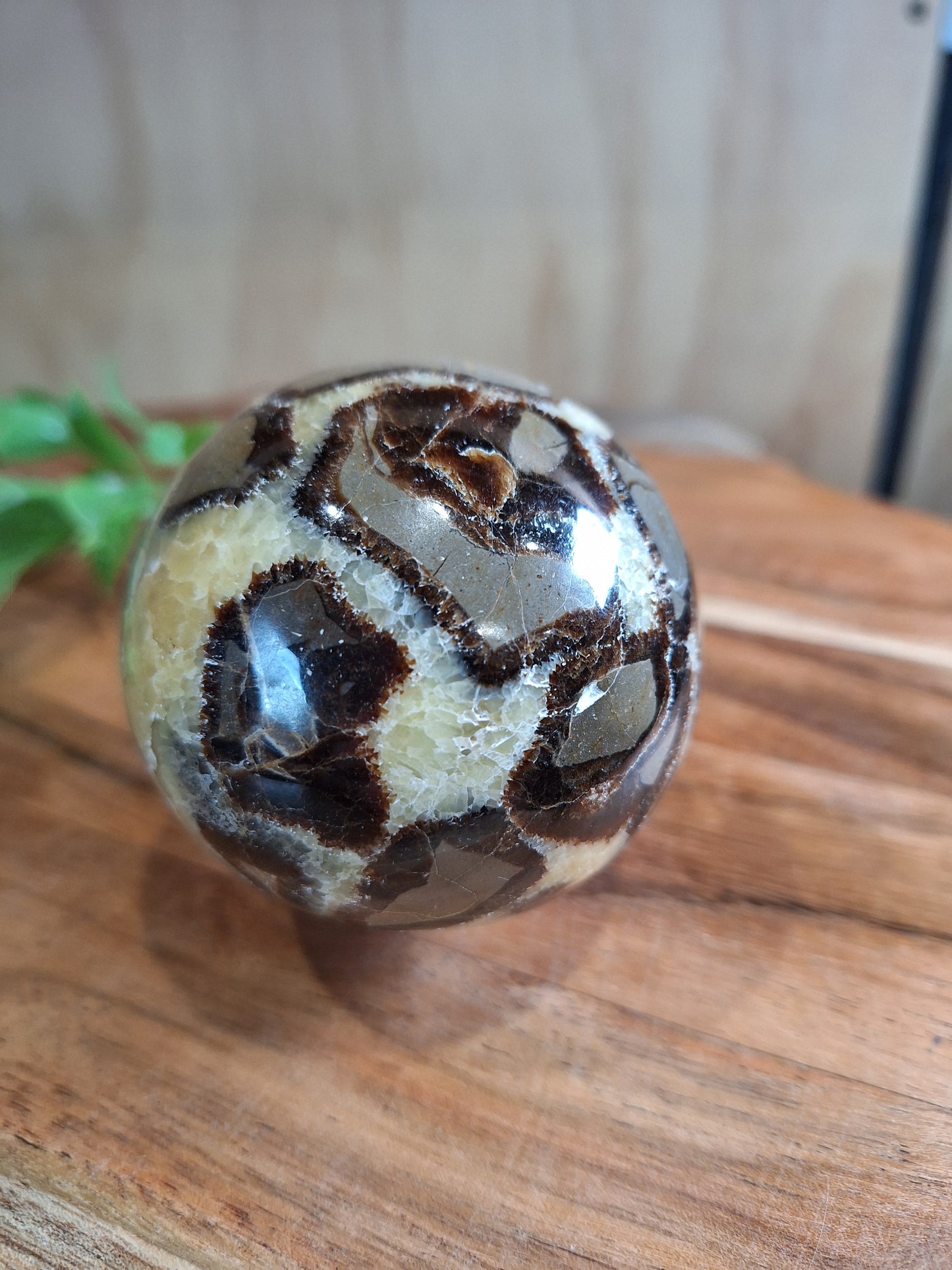 SEPTARIAN SPHERES