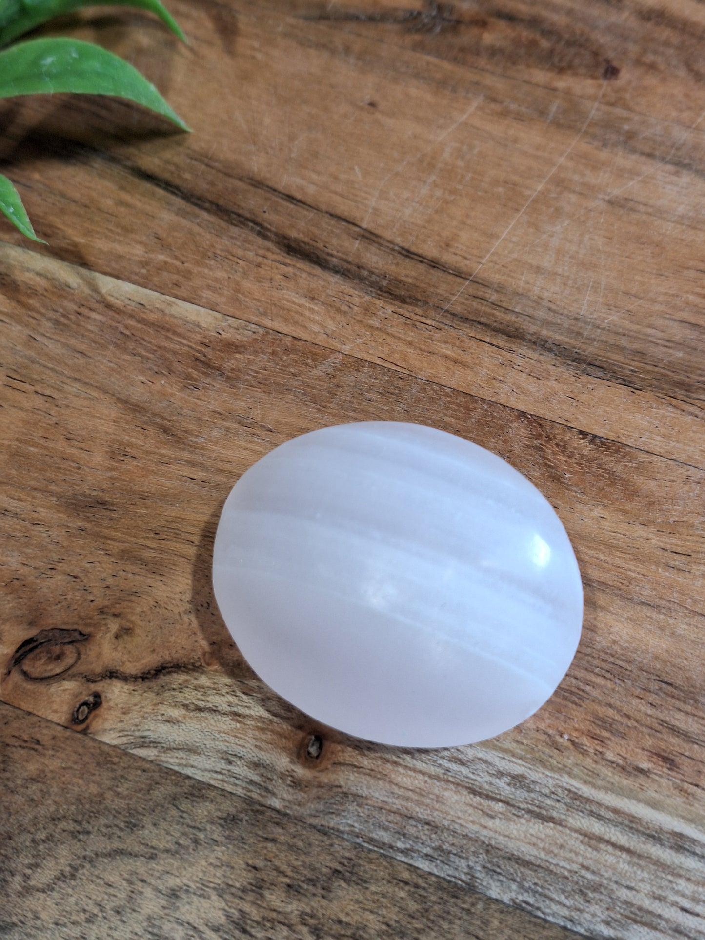 PALM STONES (MEDIUM & LARGE)