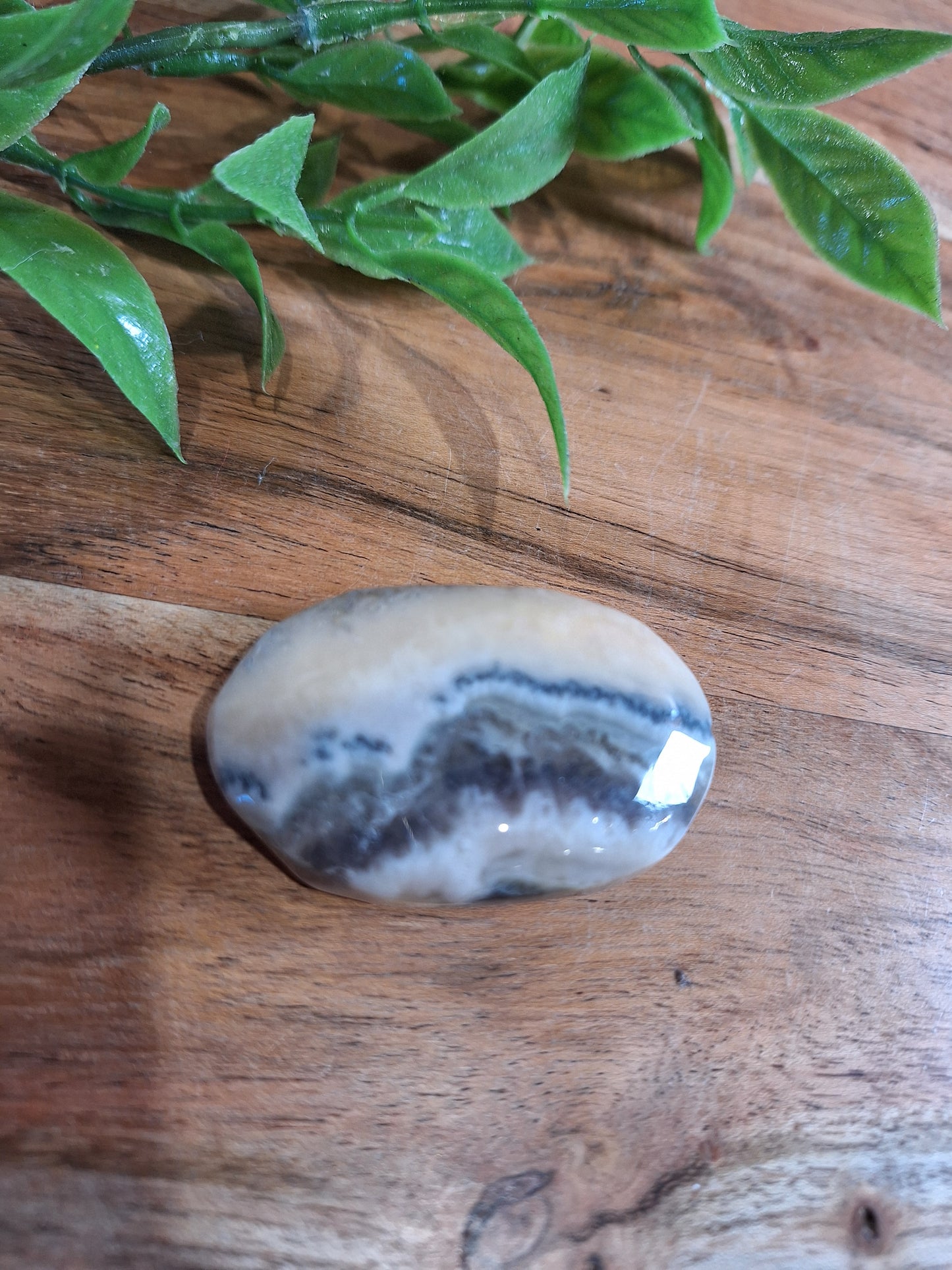 PALM STONES (MEDIUM & LARGE)