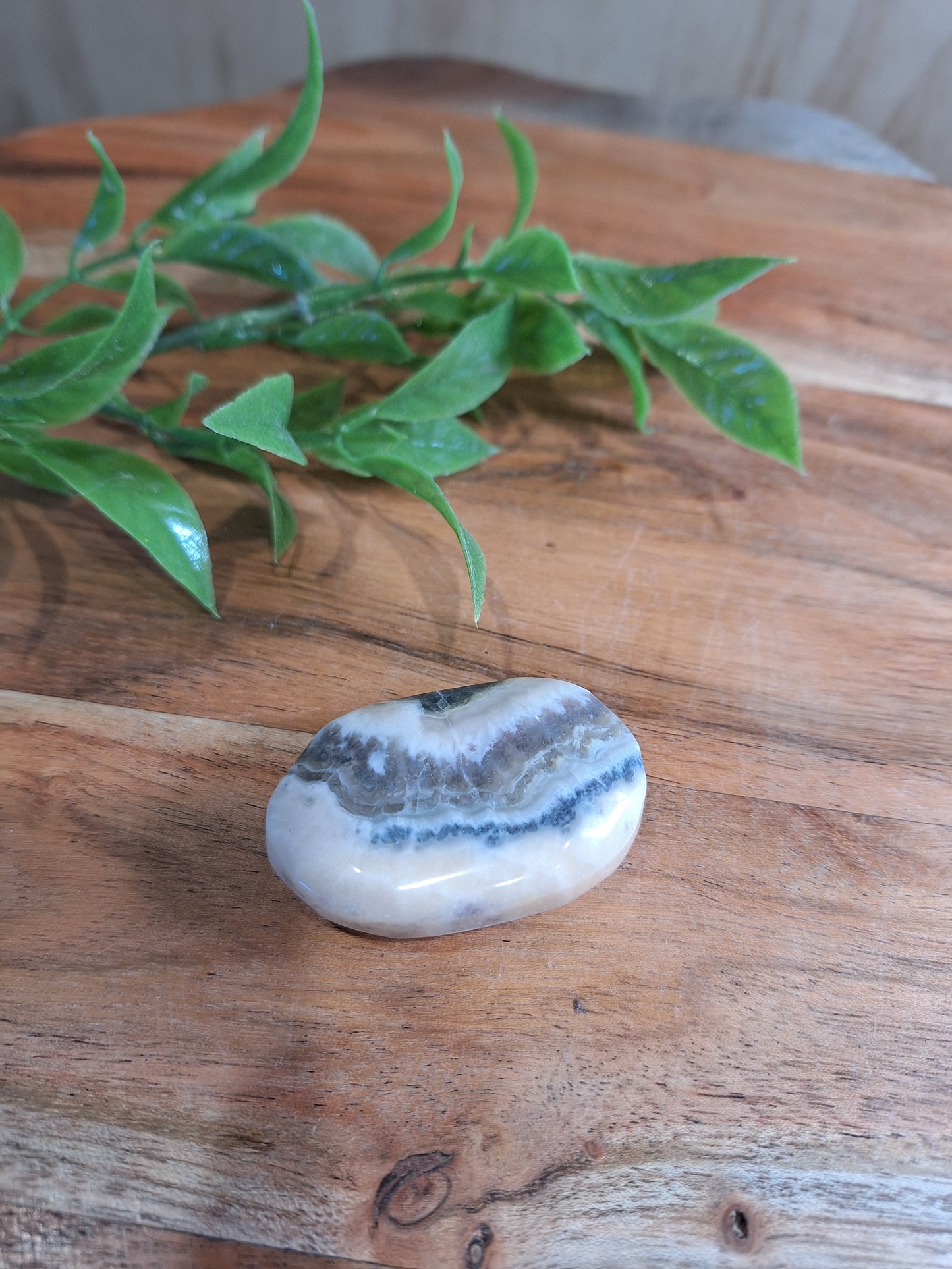 PALM STONES (MEDIUM & LARGE)