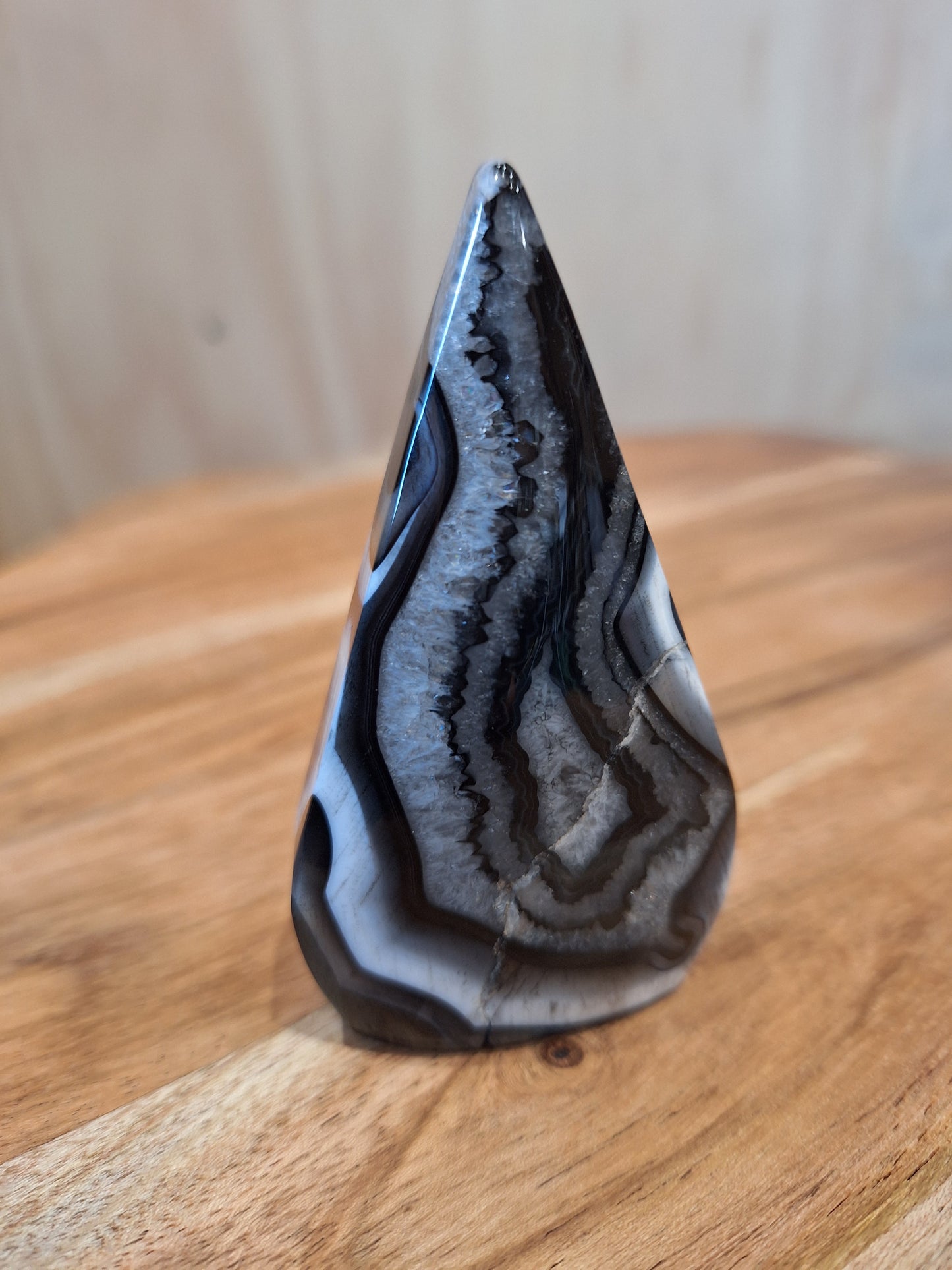 BLACK AGATE FREEFORMS