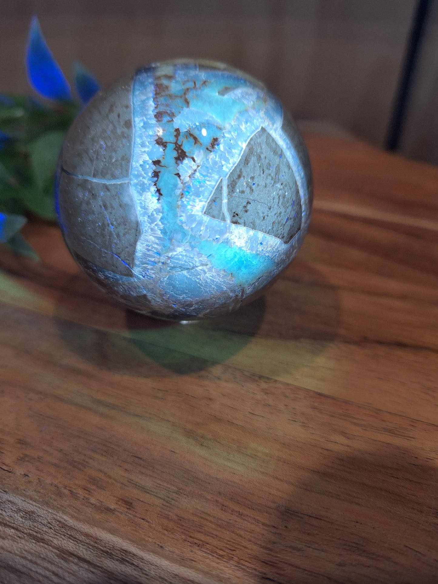 SEPTARIAN SPHERES