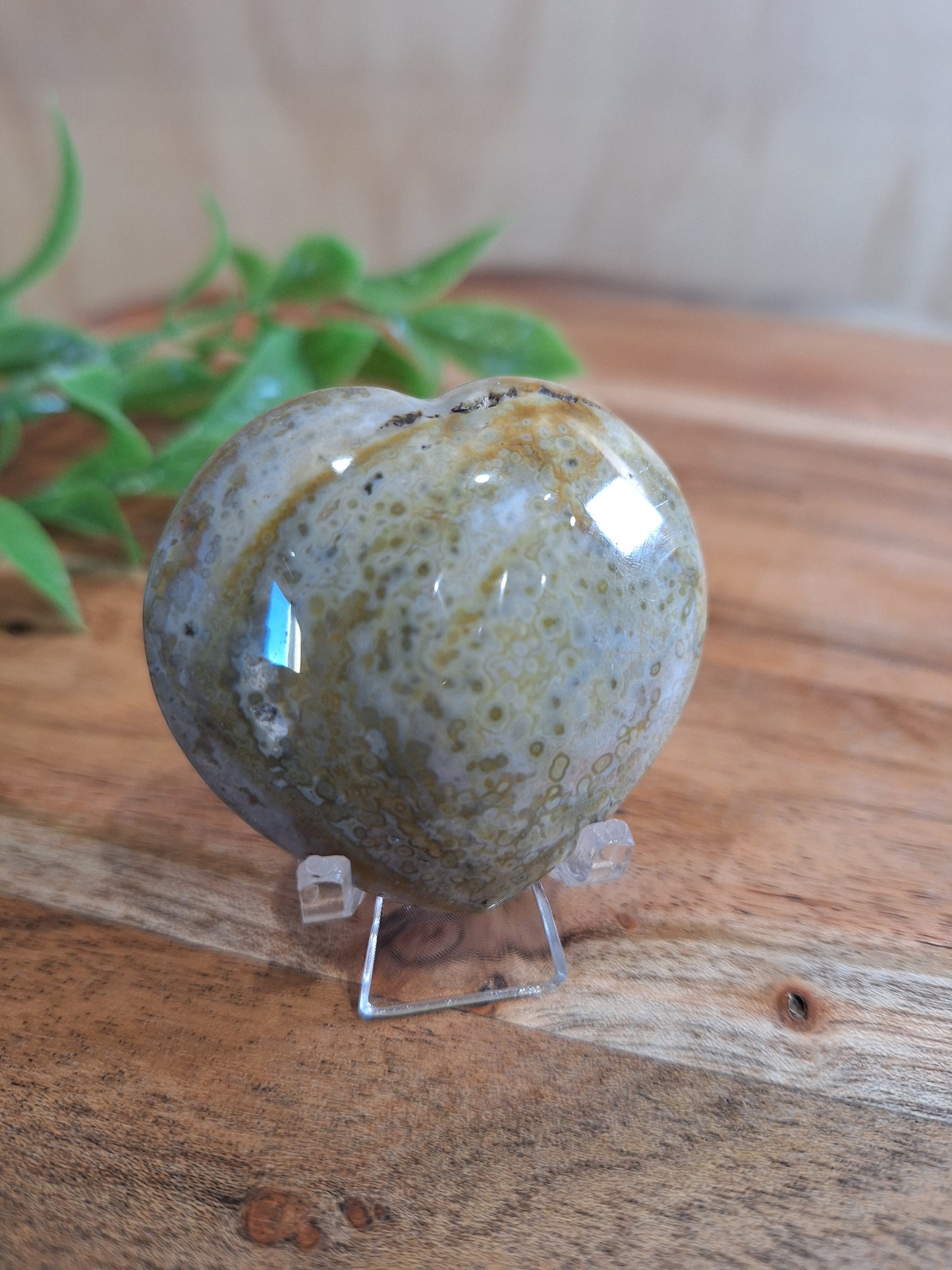 OCEAN JASPER HEART