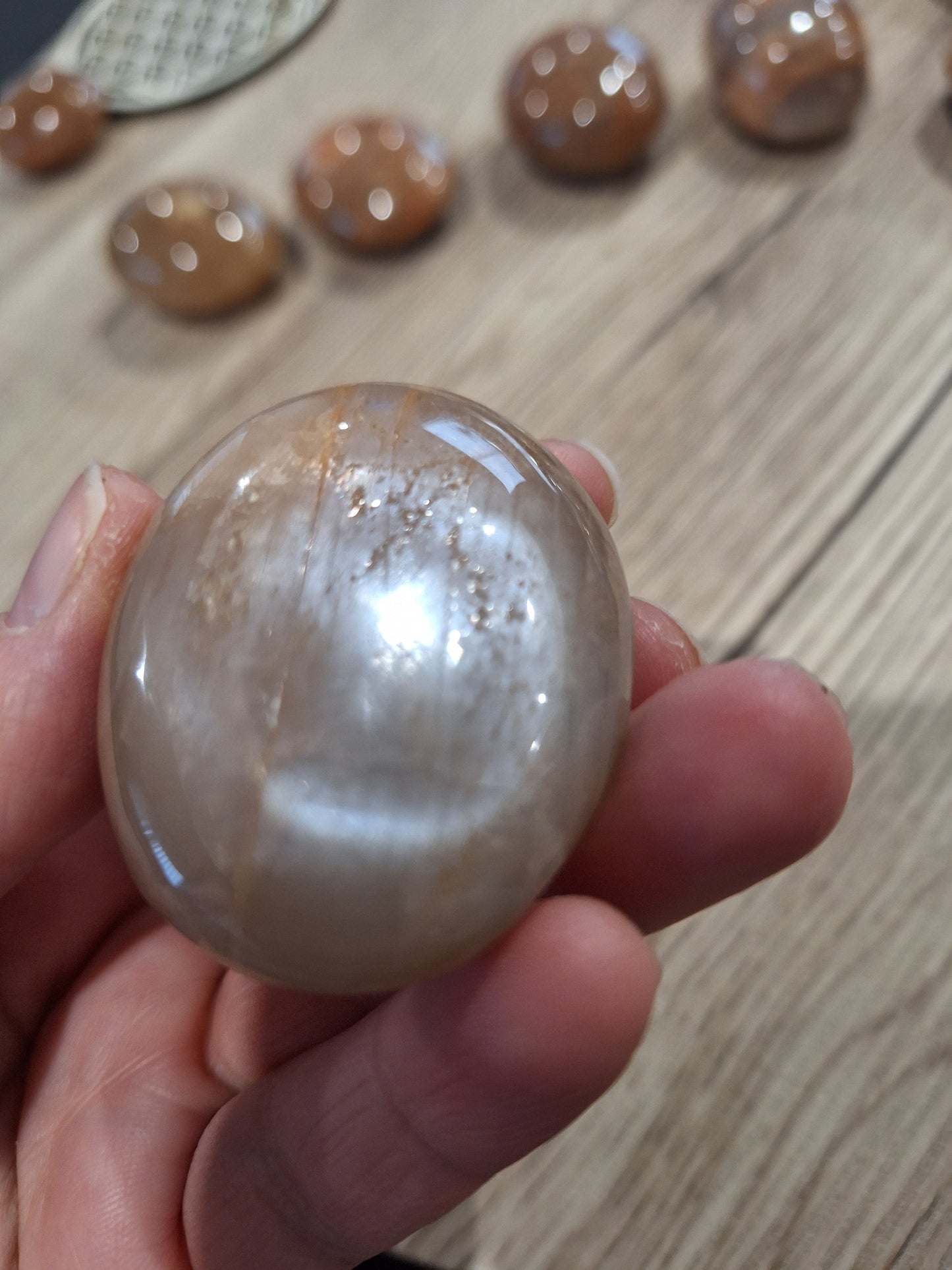 PALM STONES (MEDIUM & LARGE)