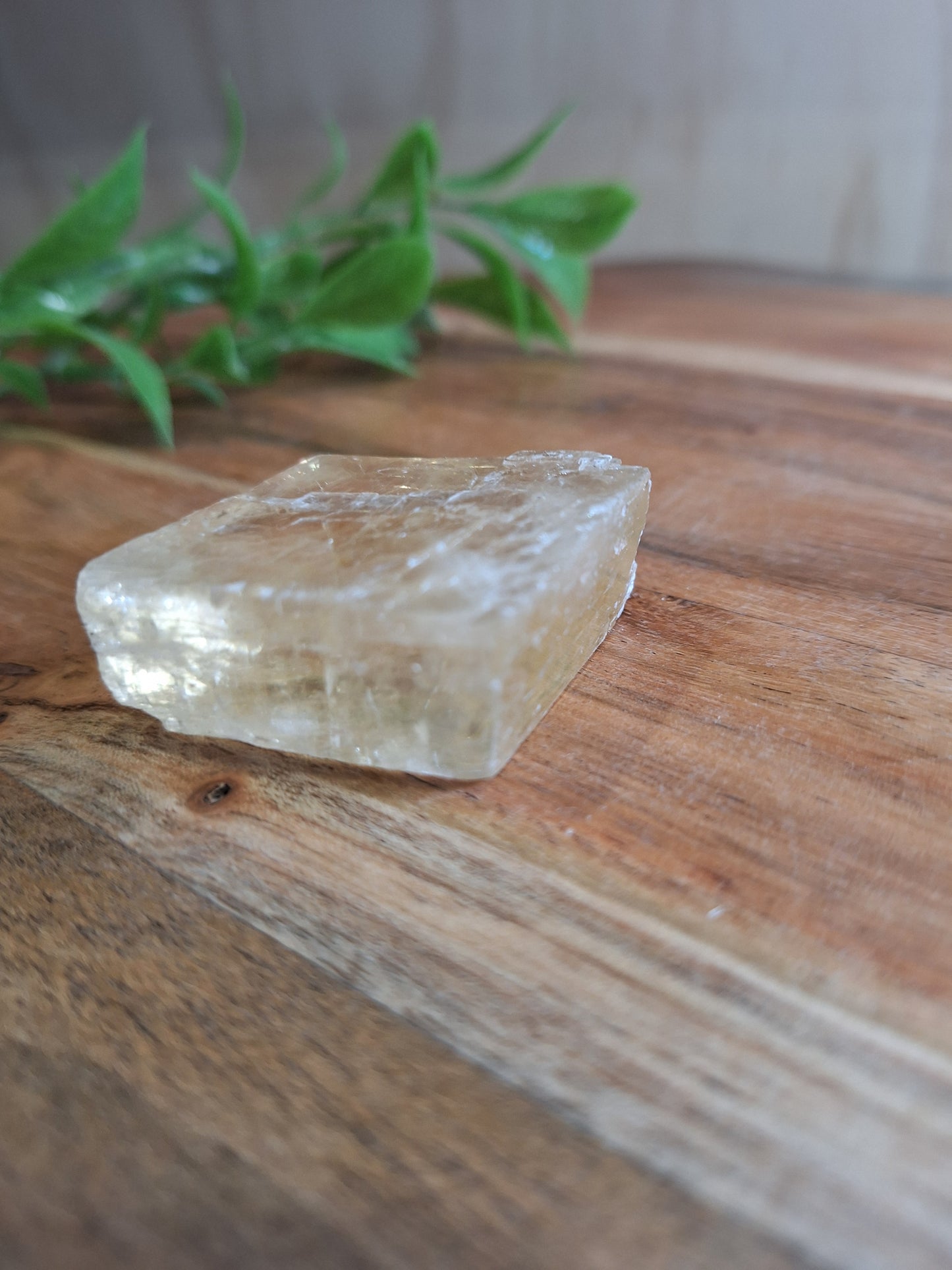 HONEY CALCITE RAW