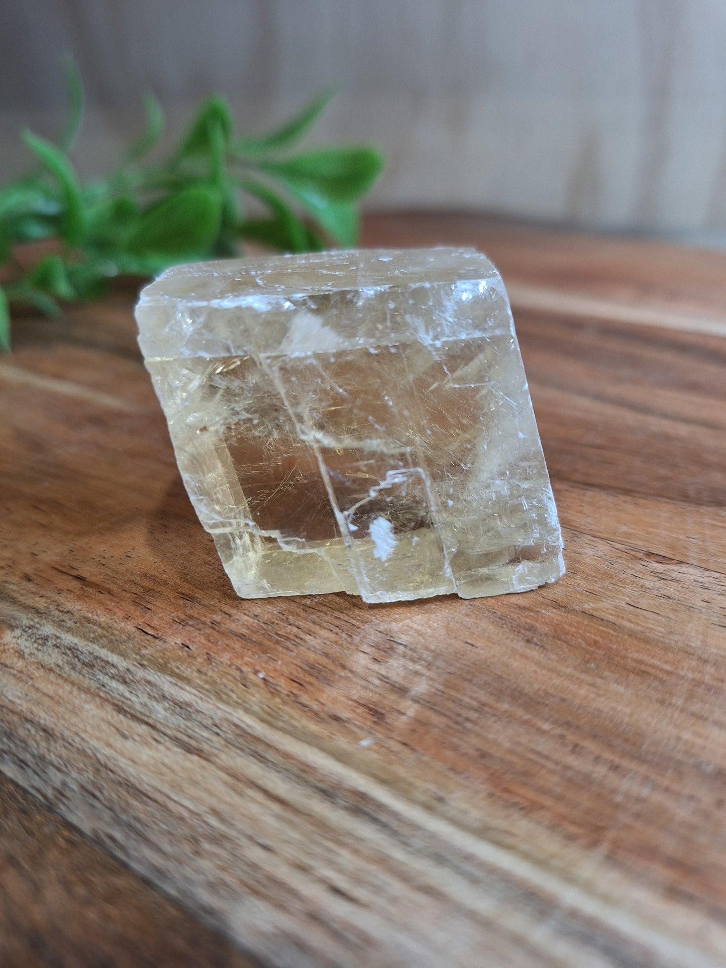HONEY CALCITE RAW