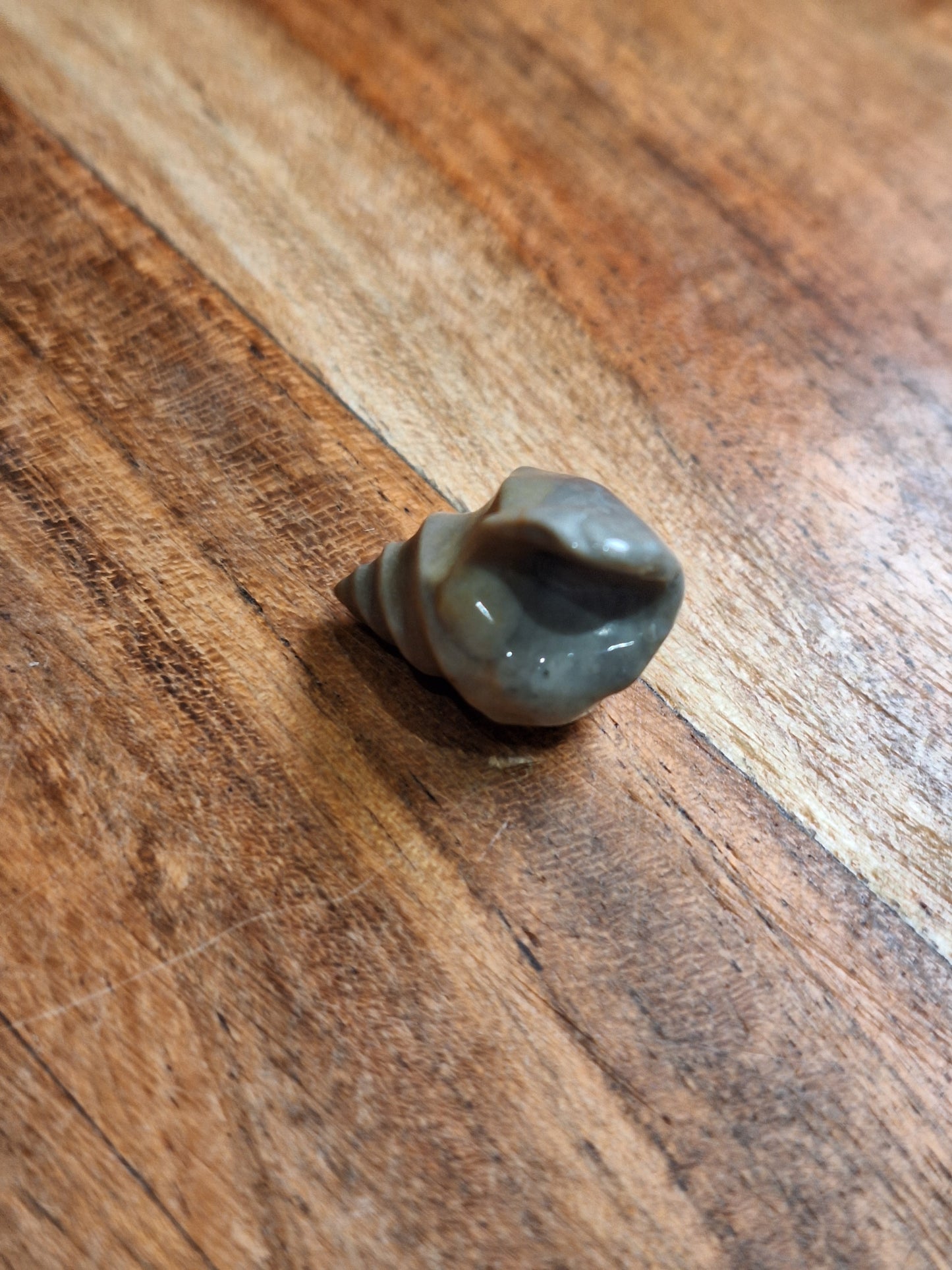 OCEAN JASPER MINI CARVINGS