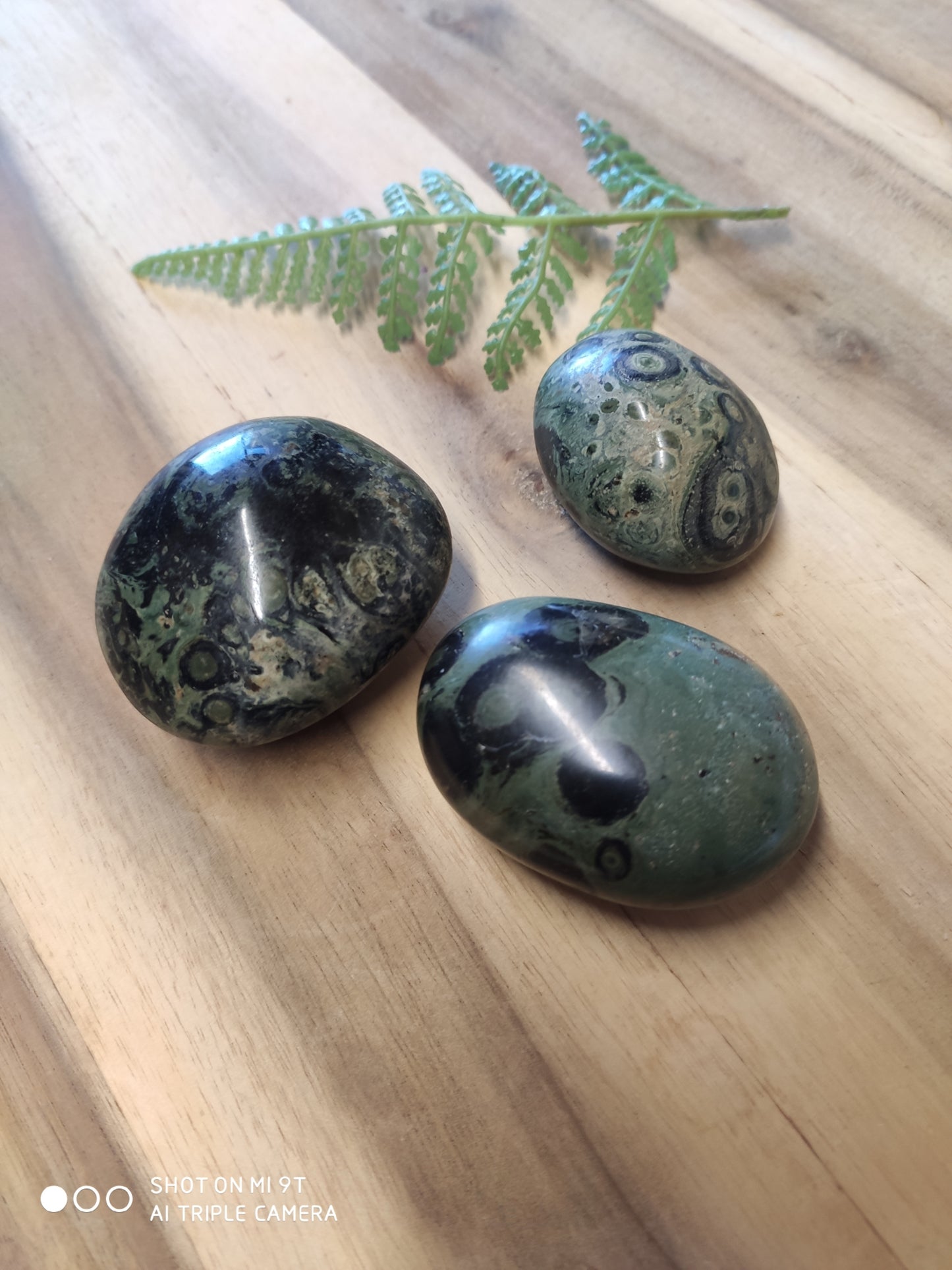 KAMBABA PALMSTONE