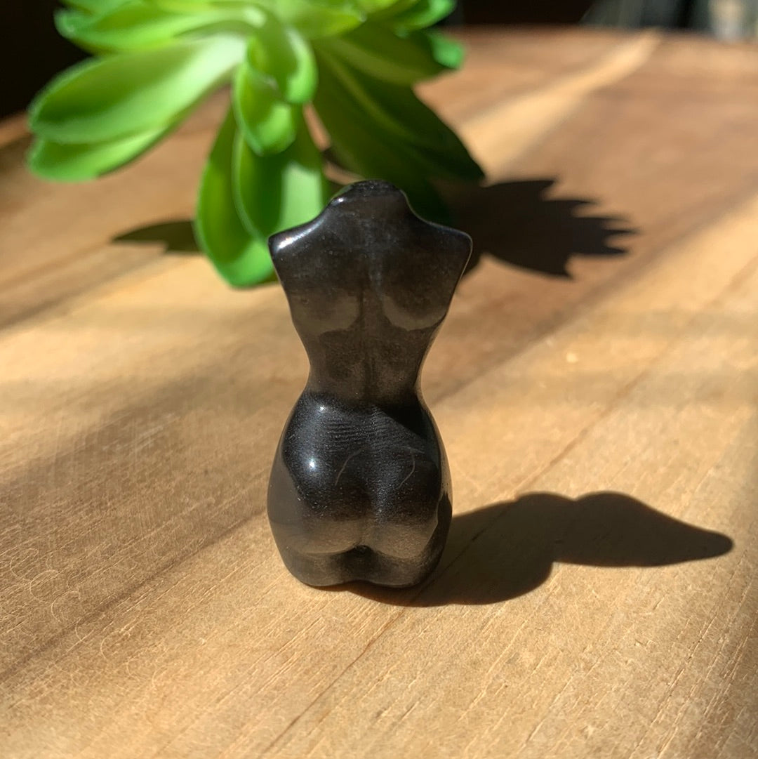 LADY BODIES MINI-MEDIUM (SOME WITH WINGS)