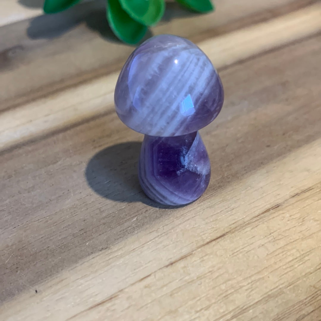 MUSHROOMS (SMALL)