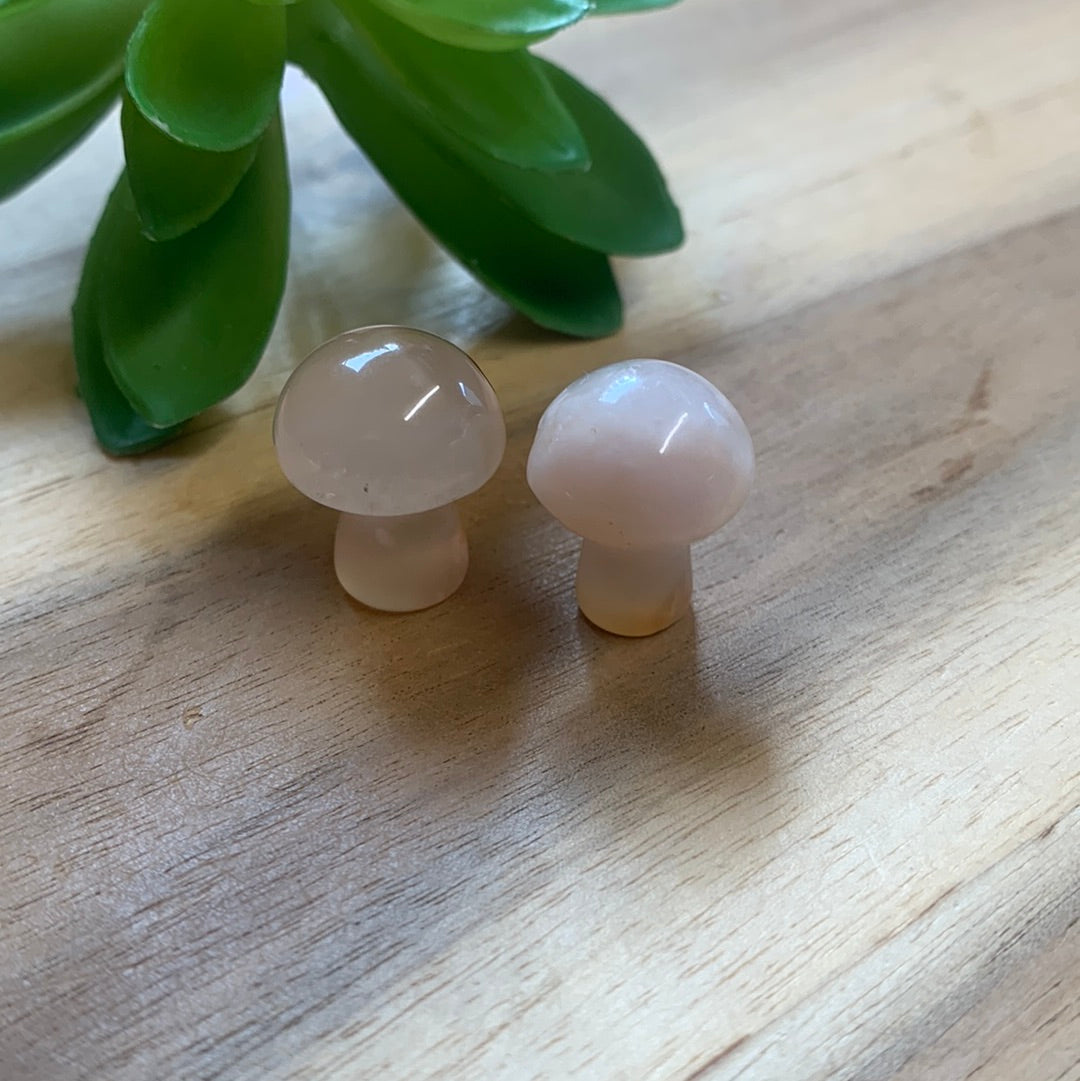 MINI MUSHROOMS