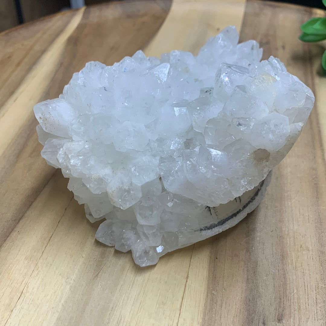WHITE QUARTZ TURTLE (HUGE 1.246kg!!)
