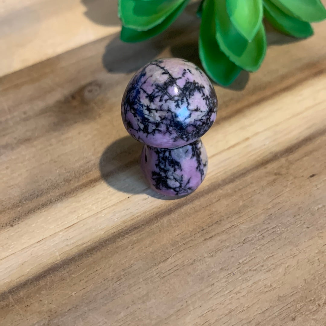 MUSHROOMS (SMALL)
