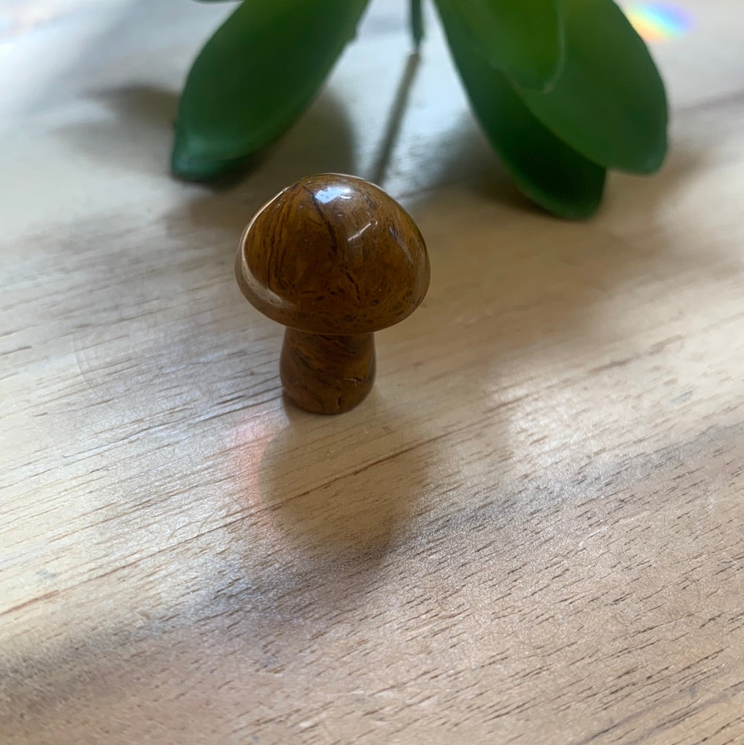 MINI MUSHROOMS
