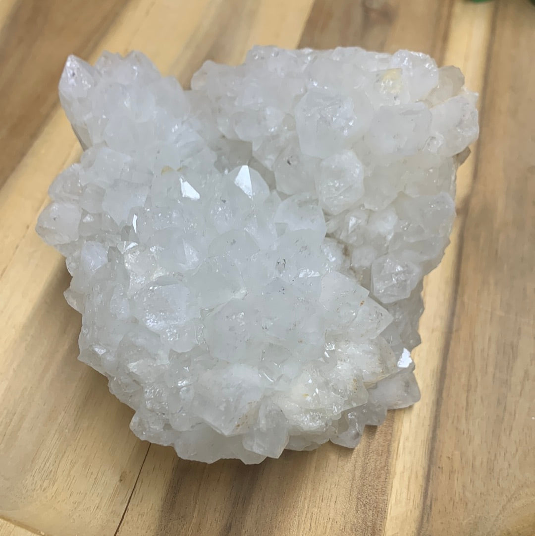WHITE QUARTZ TURTLE (HUGE 1.246kg!!)